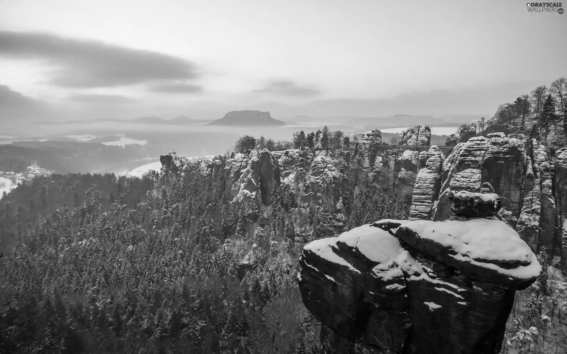 winter, rocks, forest