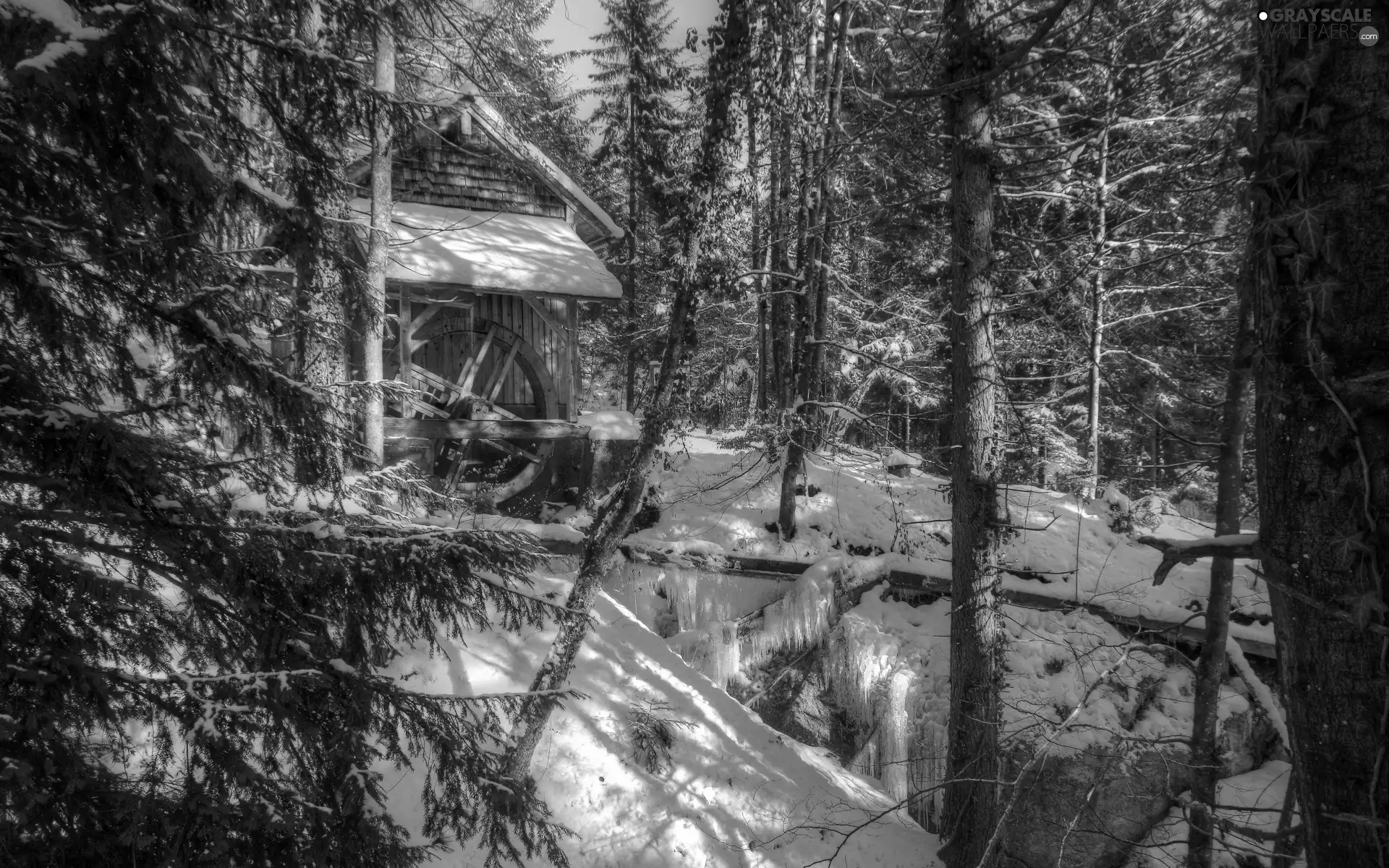 winter, Watermill, forest