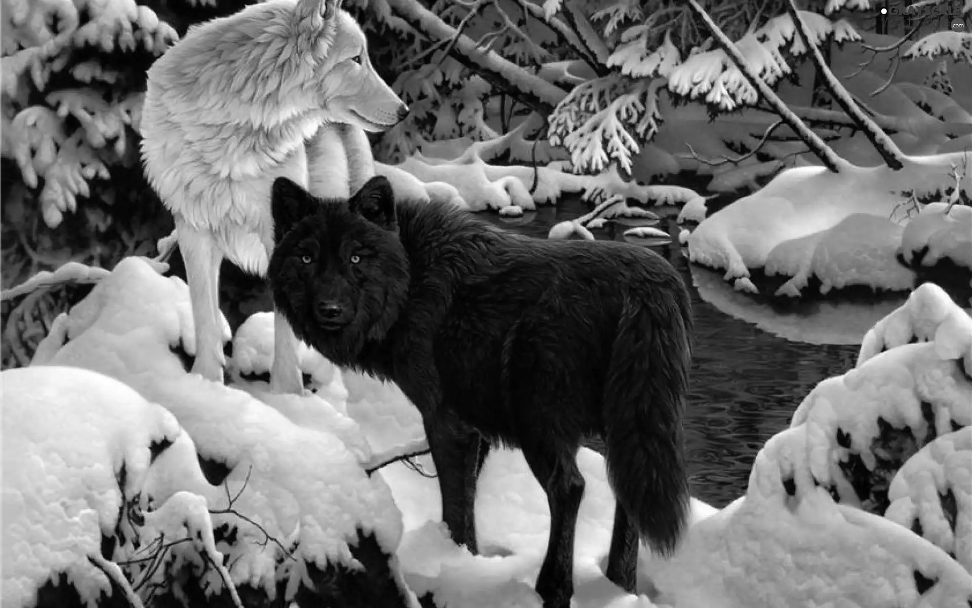 winter, wolves, forest