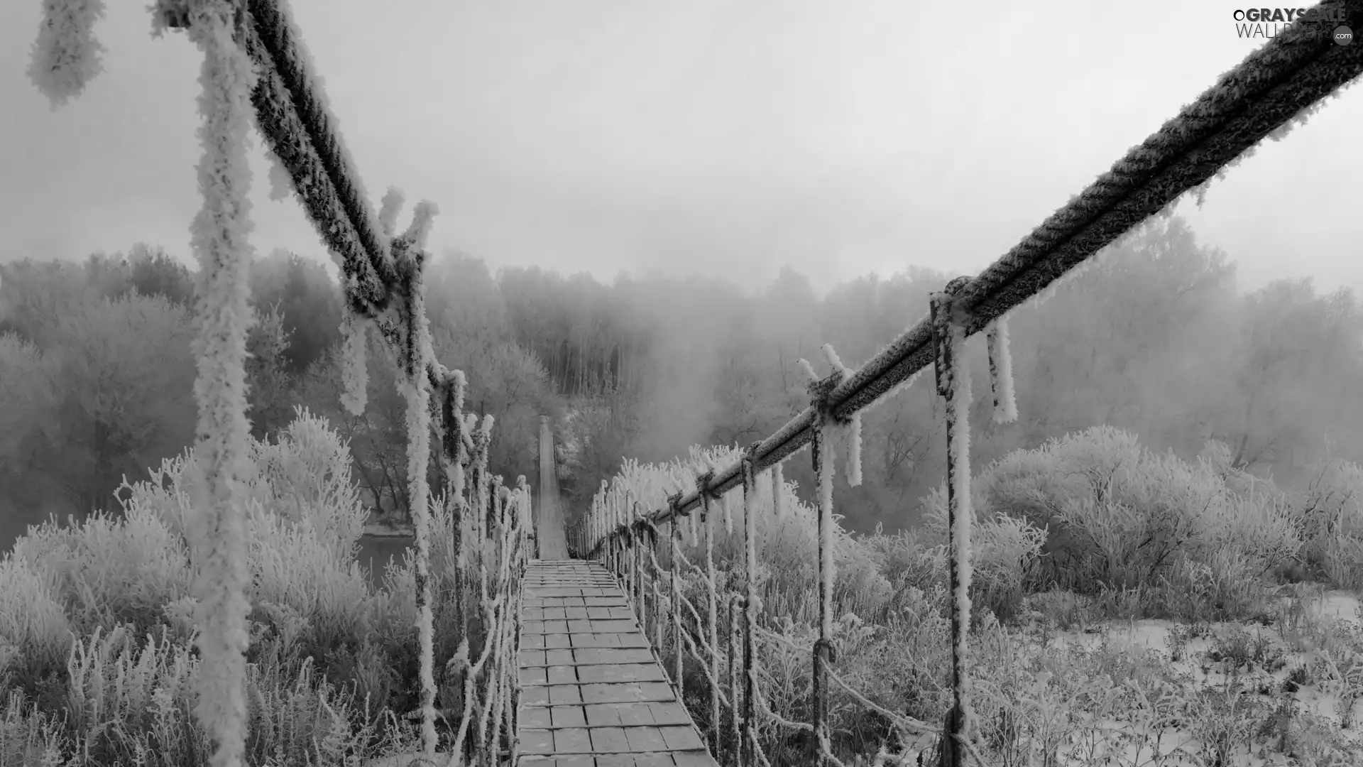 frosty, bridge, winter, ropes