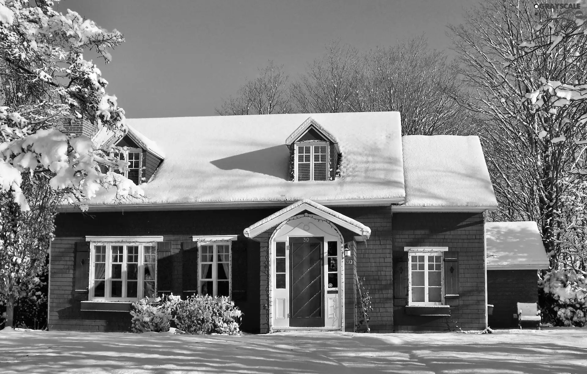 winter, Red, Home