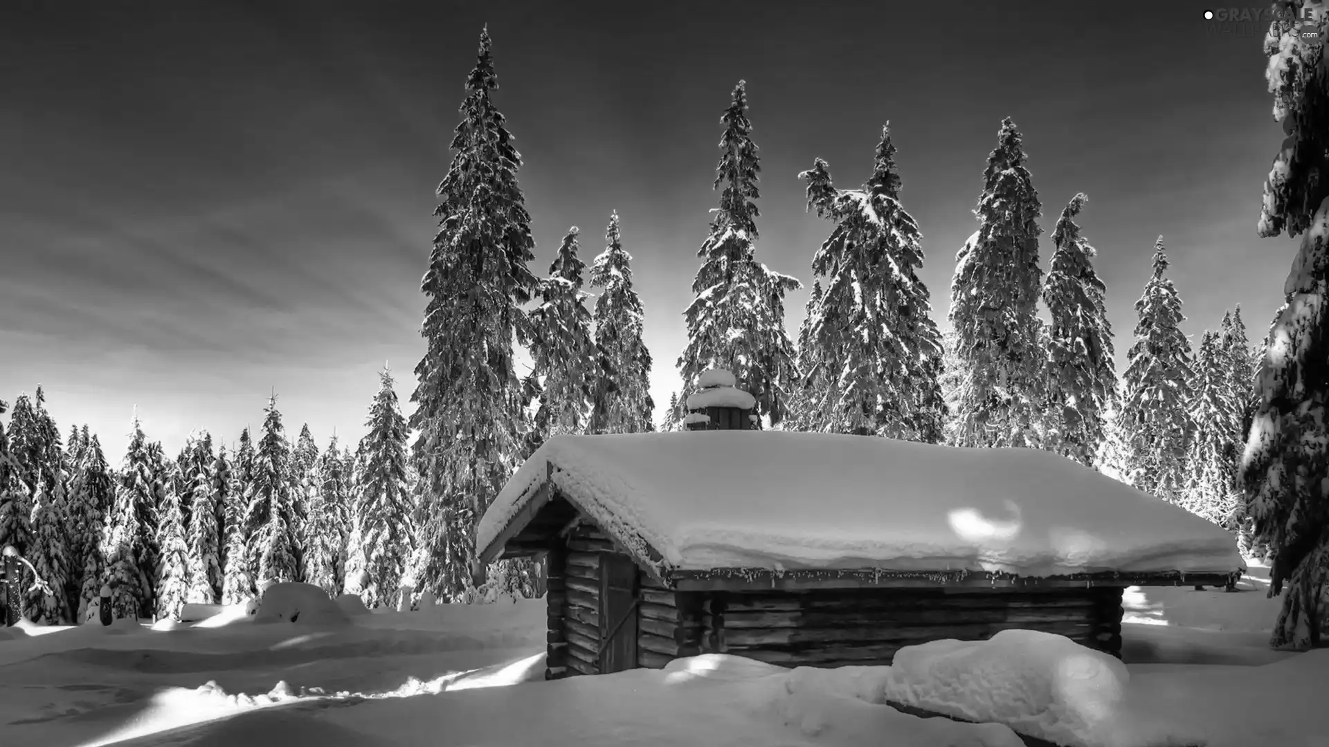 house, viewes, winter, trees