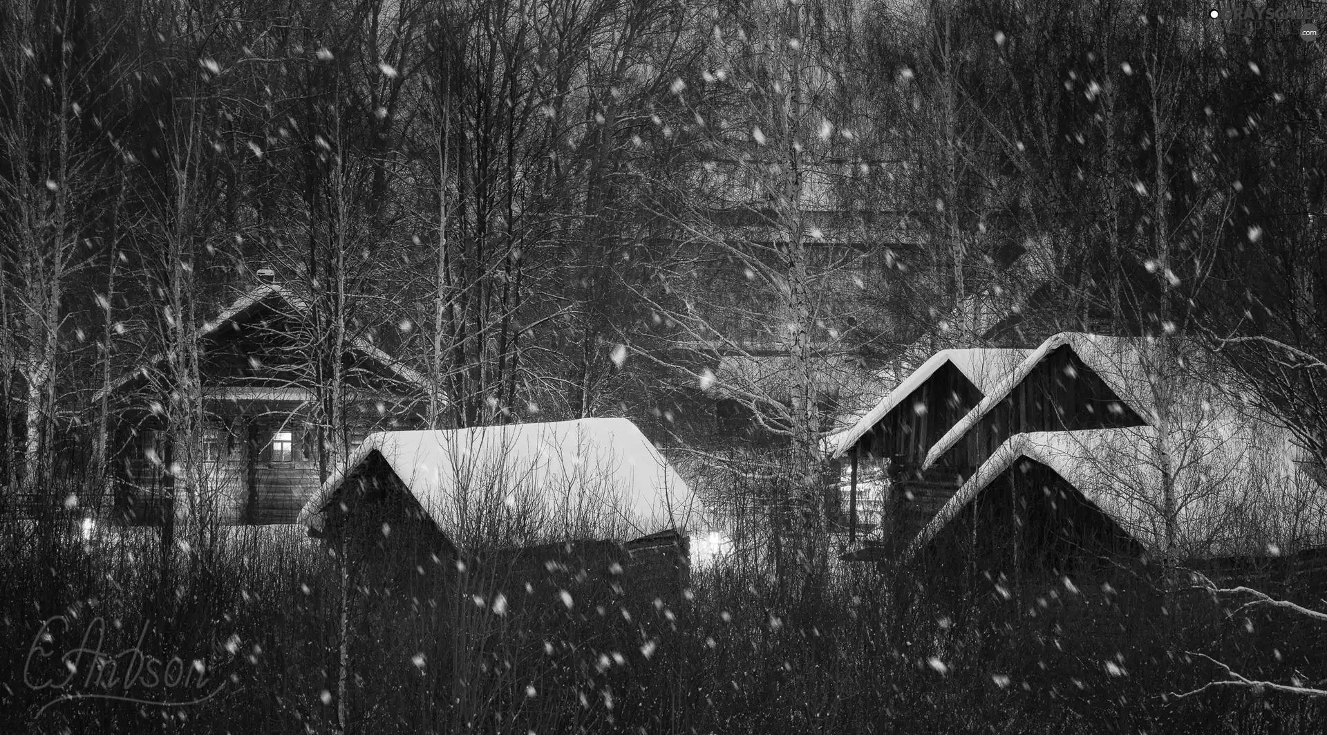 Houses, Night, incident, winter, forest, lighting, snow
