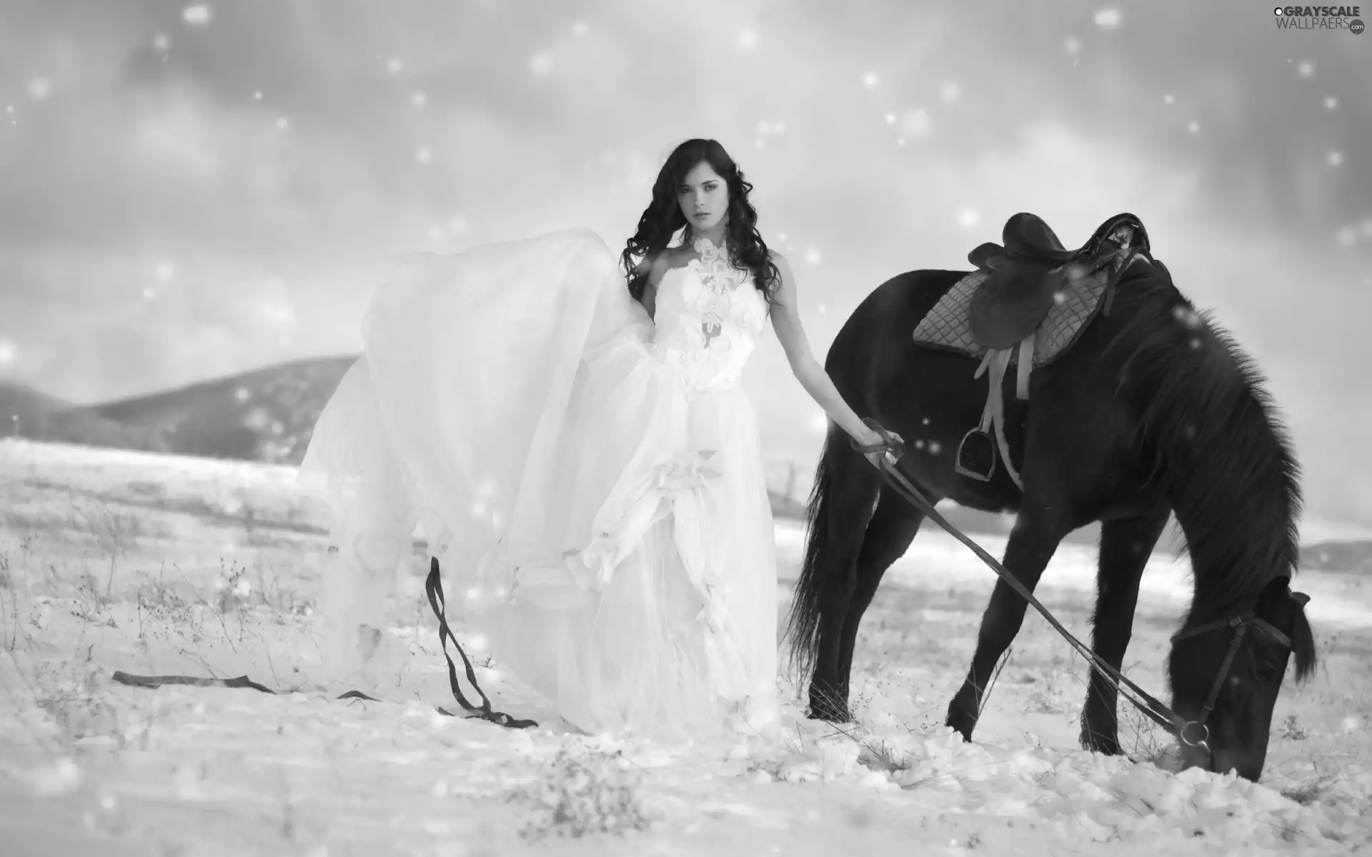 lady, Horse, winter, young