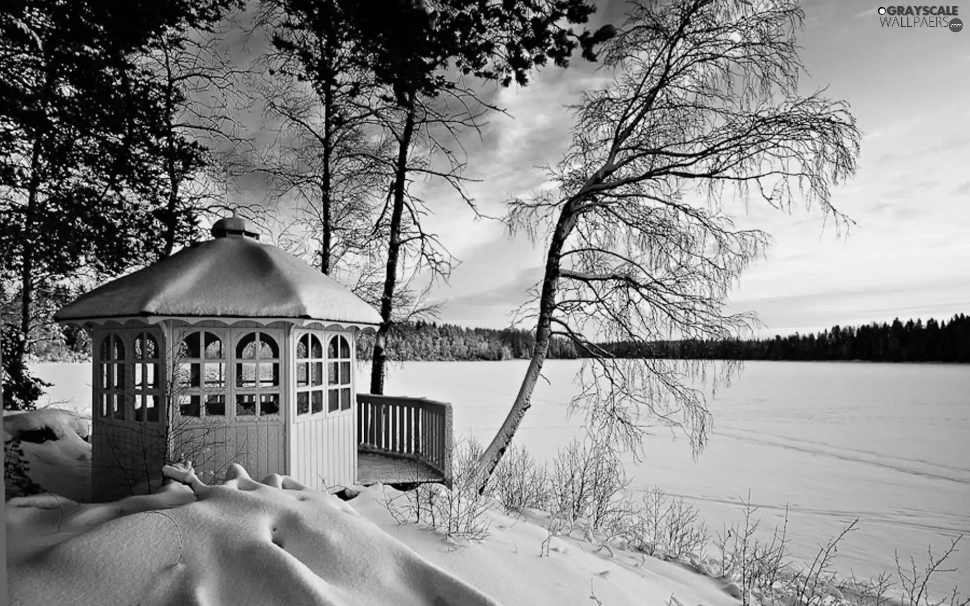 lake, arbour, winter, woods