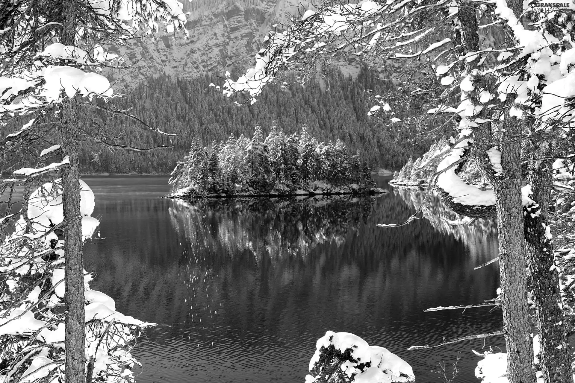 lake, forest, winter, Island