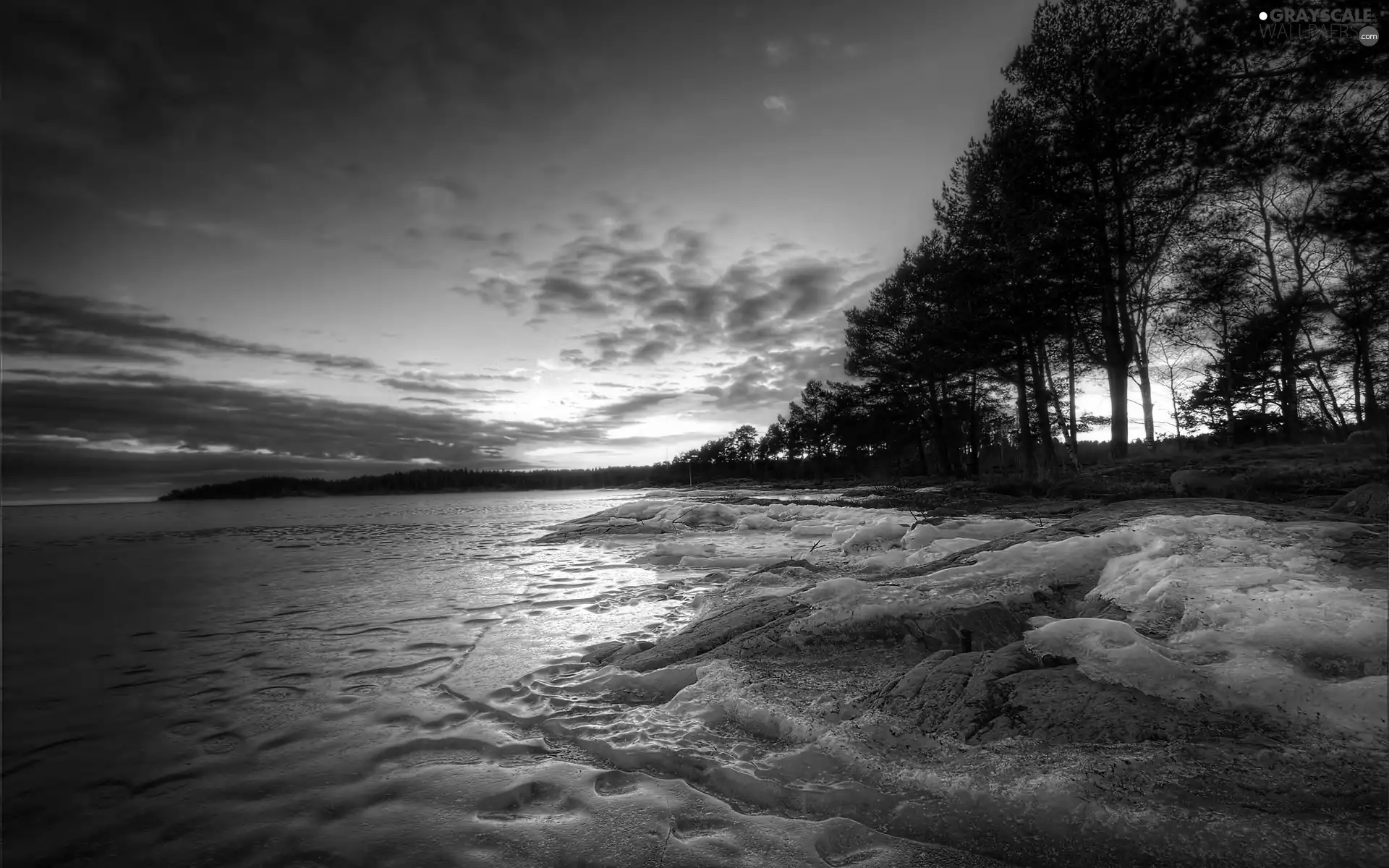 west, trees, winter, lake, sun, viewes