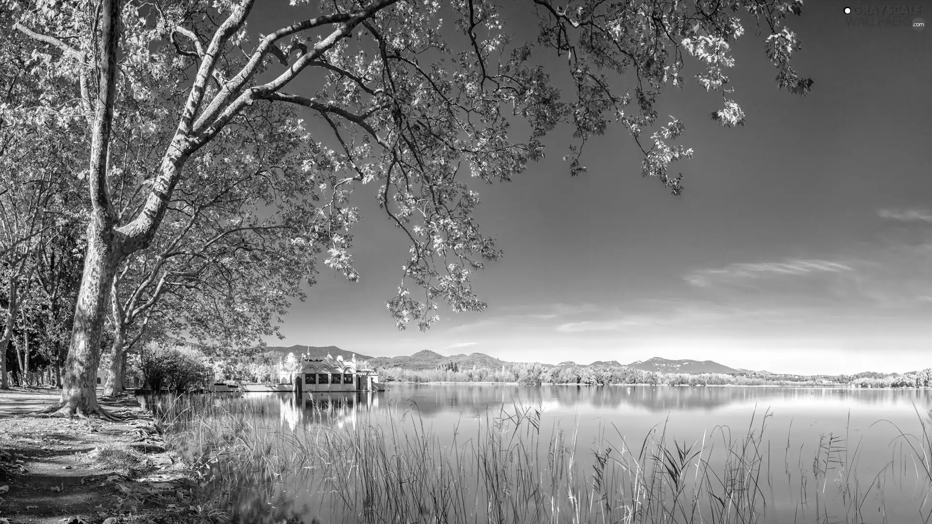 lake, viewes, winter, trees