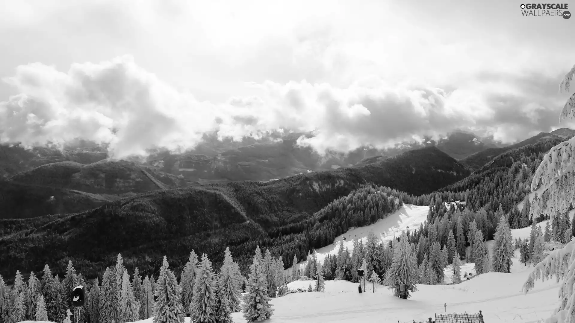 Mountains, clouds, winter, woods