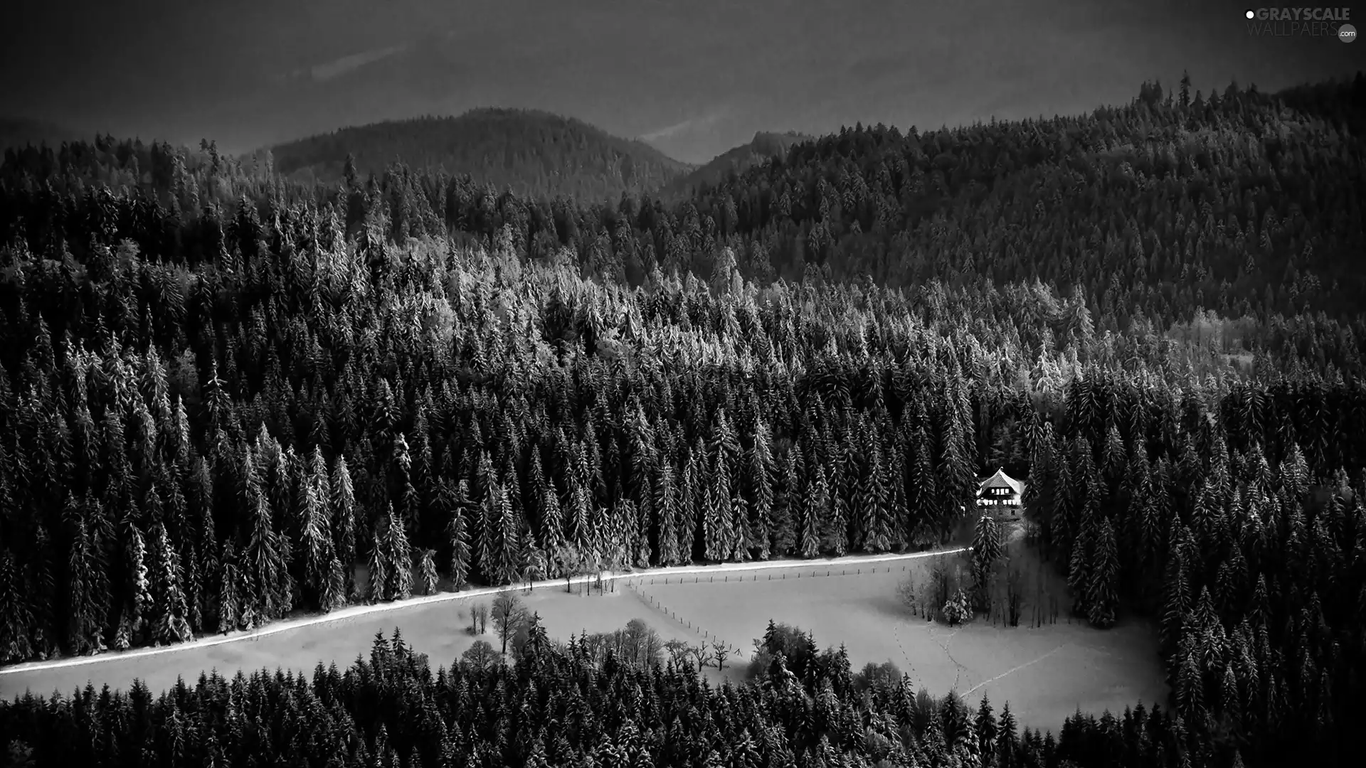 Mountains, house, winter, woods