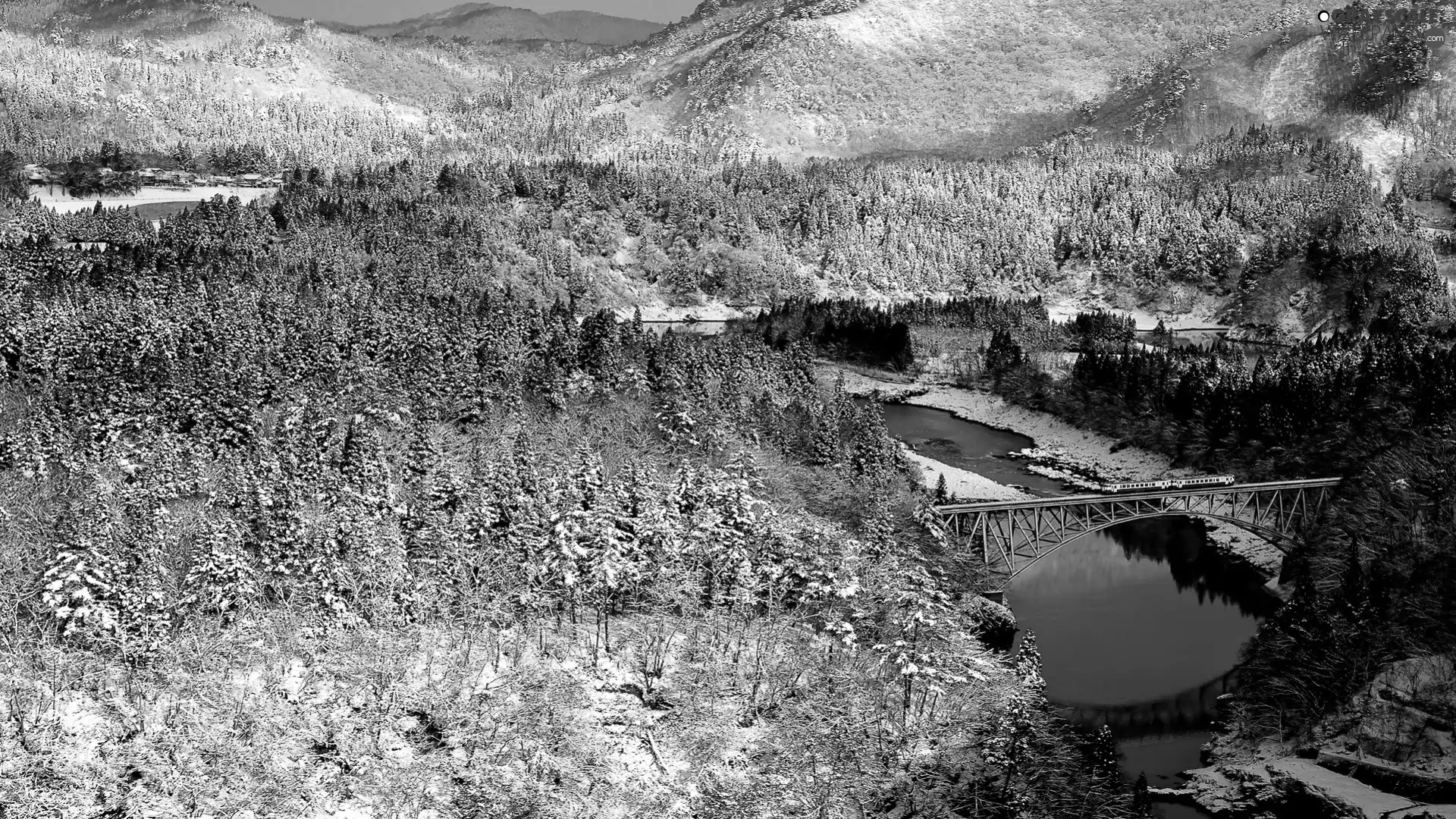 Mountains, River, winter, forest