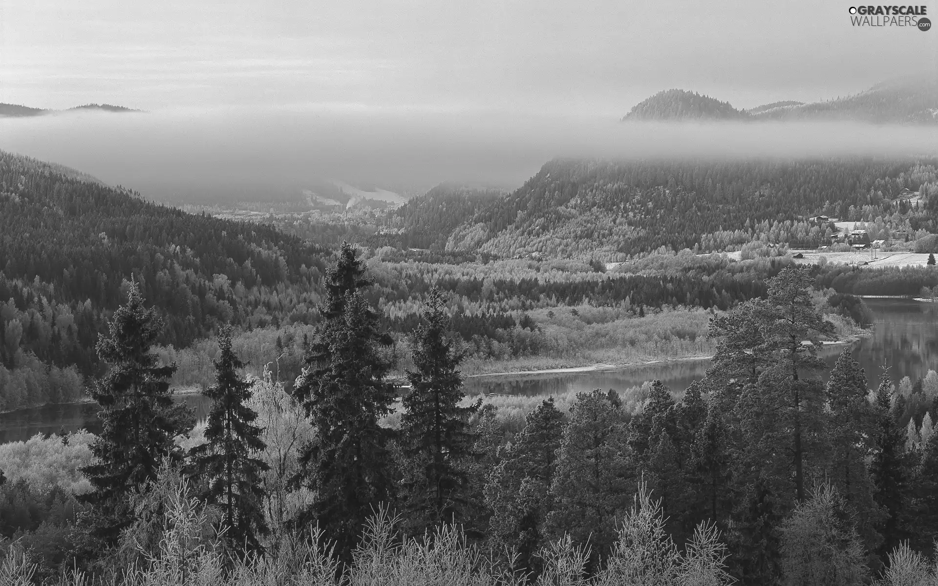 Mountains, River, winter, woods