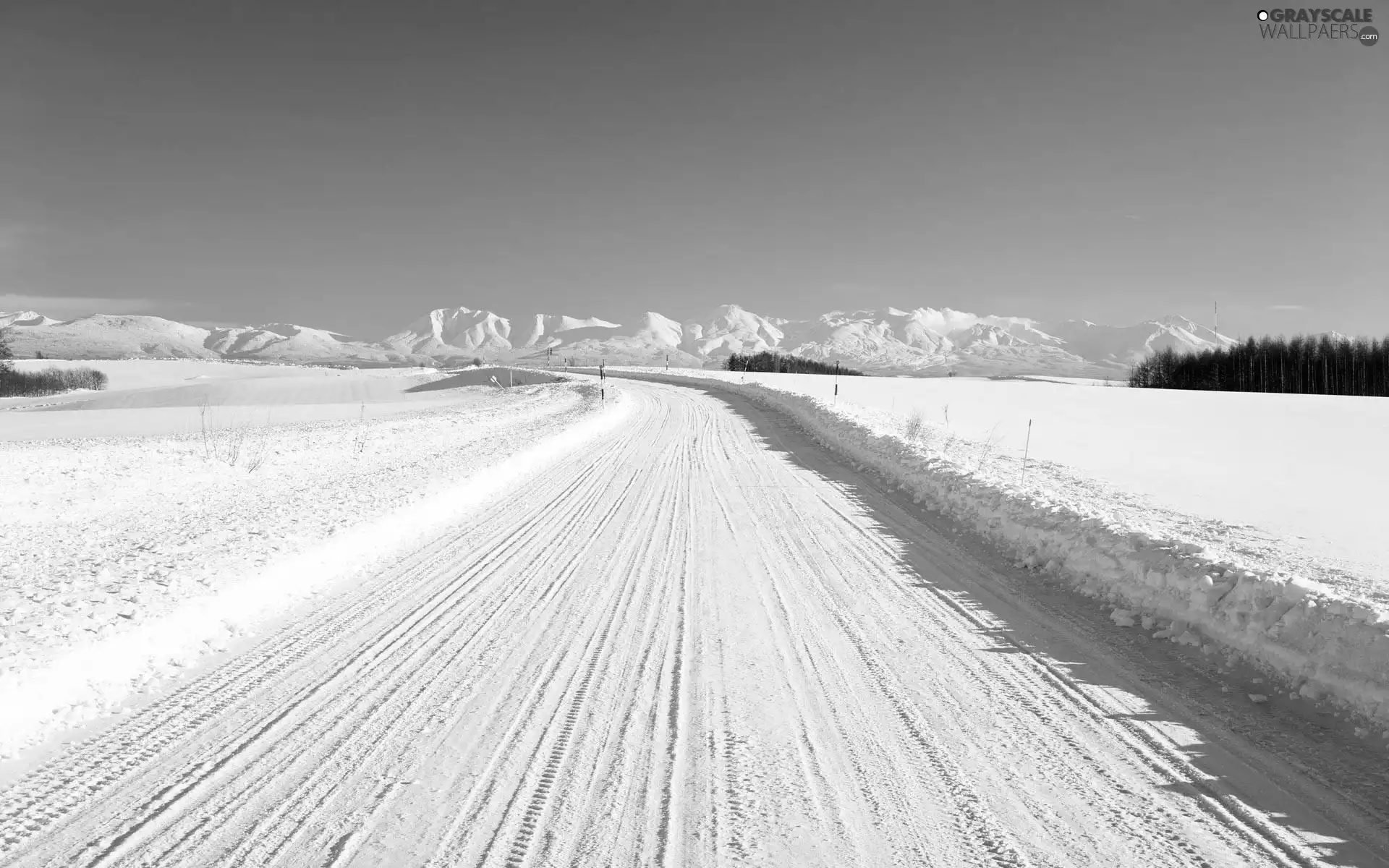 Mountains, Way, winter, field