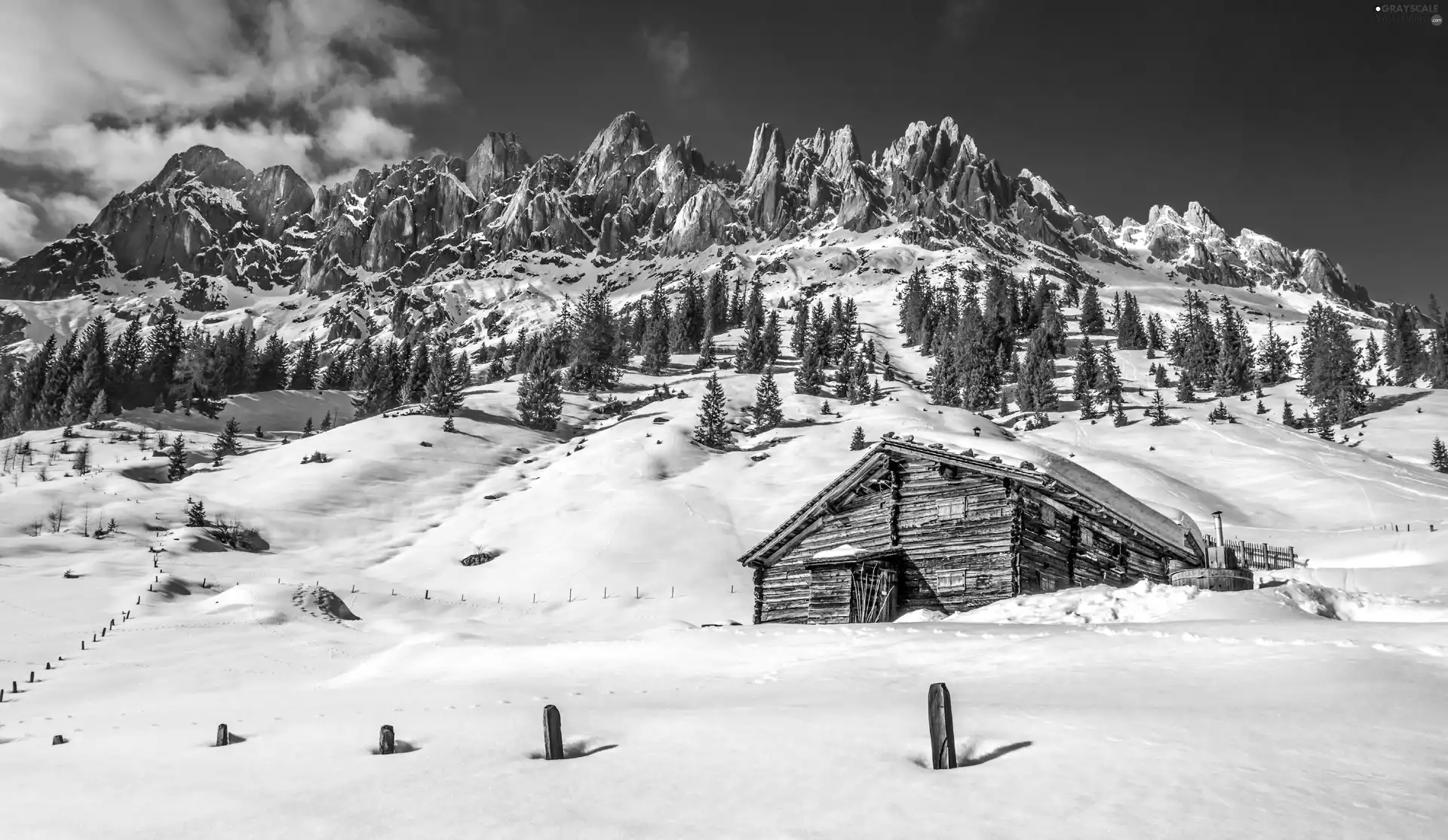 snow, National Park, winter