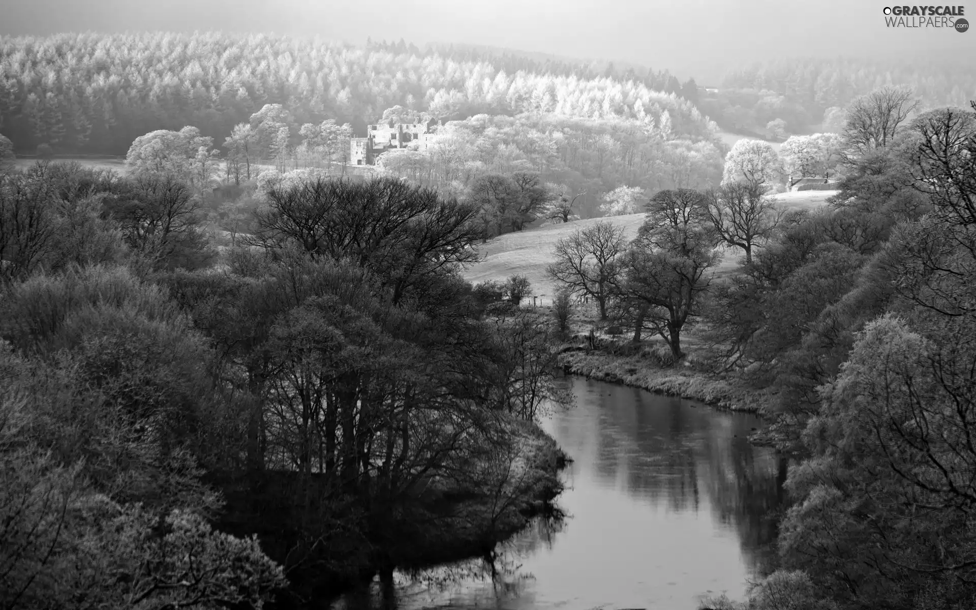 River, field, winter, woods