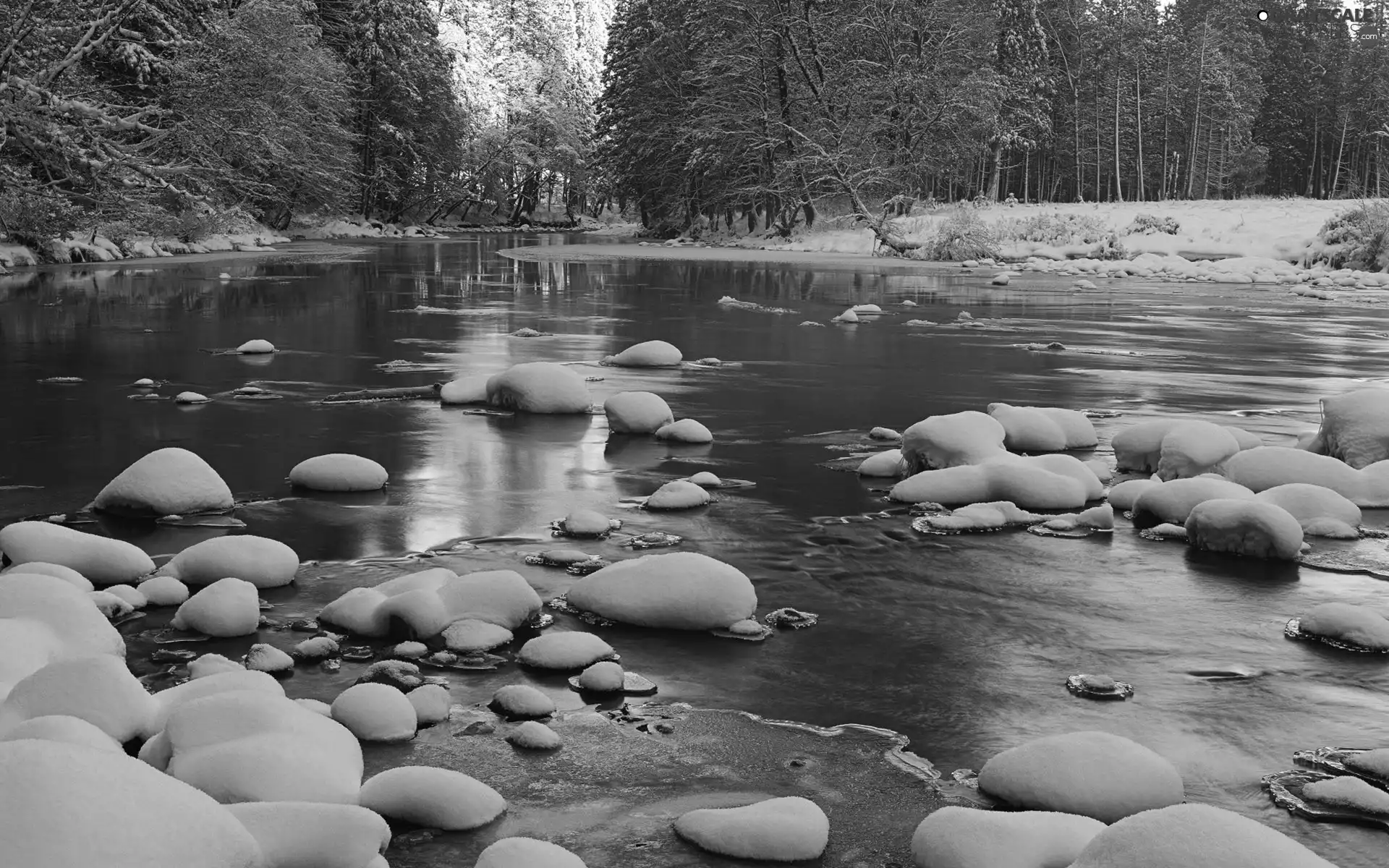 River, forest, winter, Stones