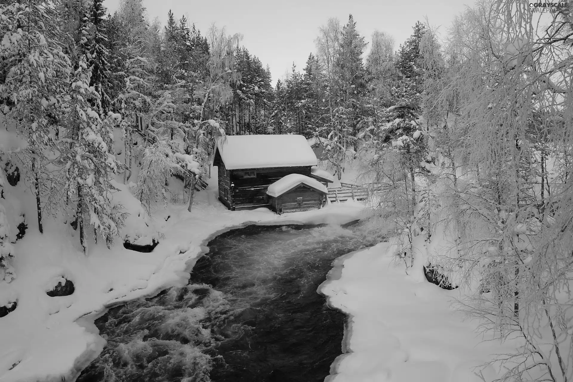River, house, winter, forest
