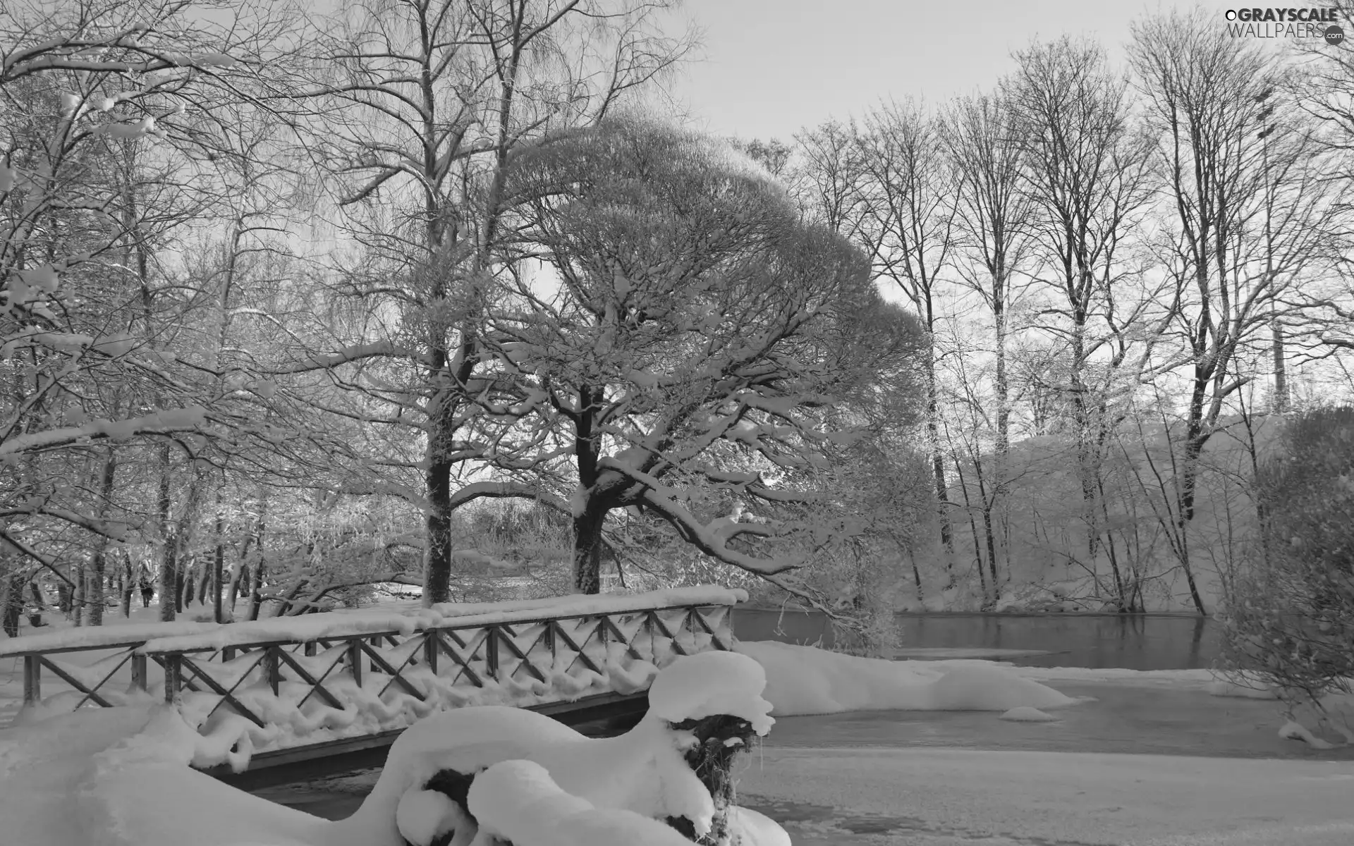 River, Park, winter, bridges