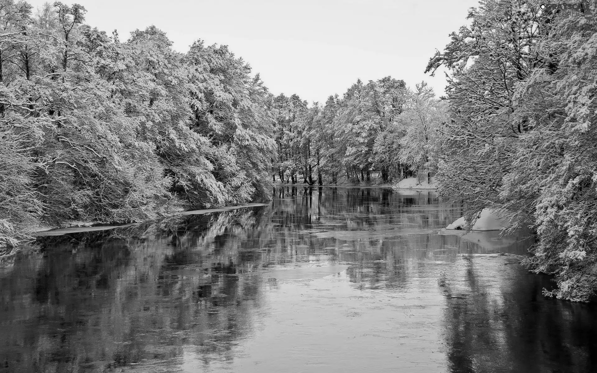 River, viewes, winter, trees