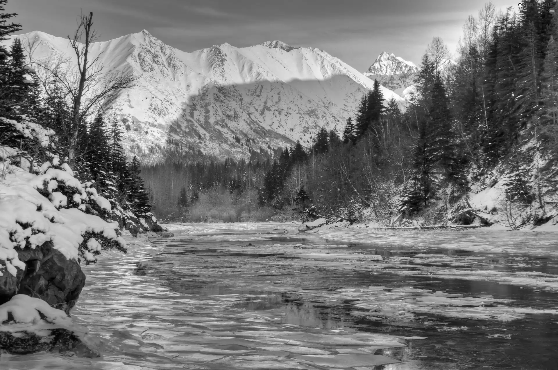 River, woods, winter, Mountains