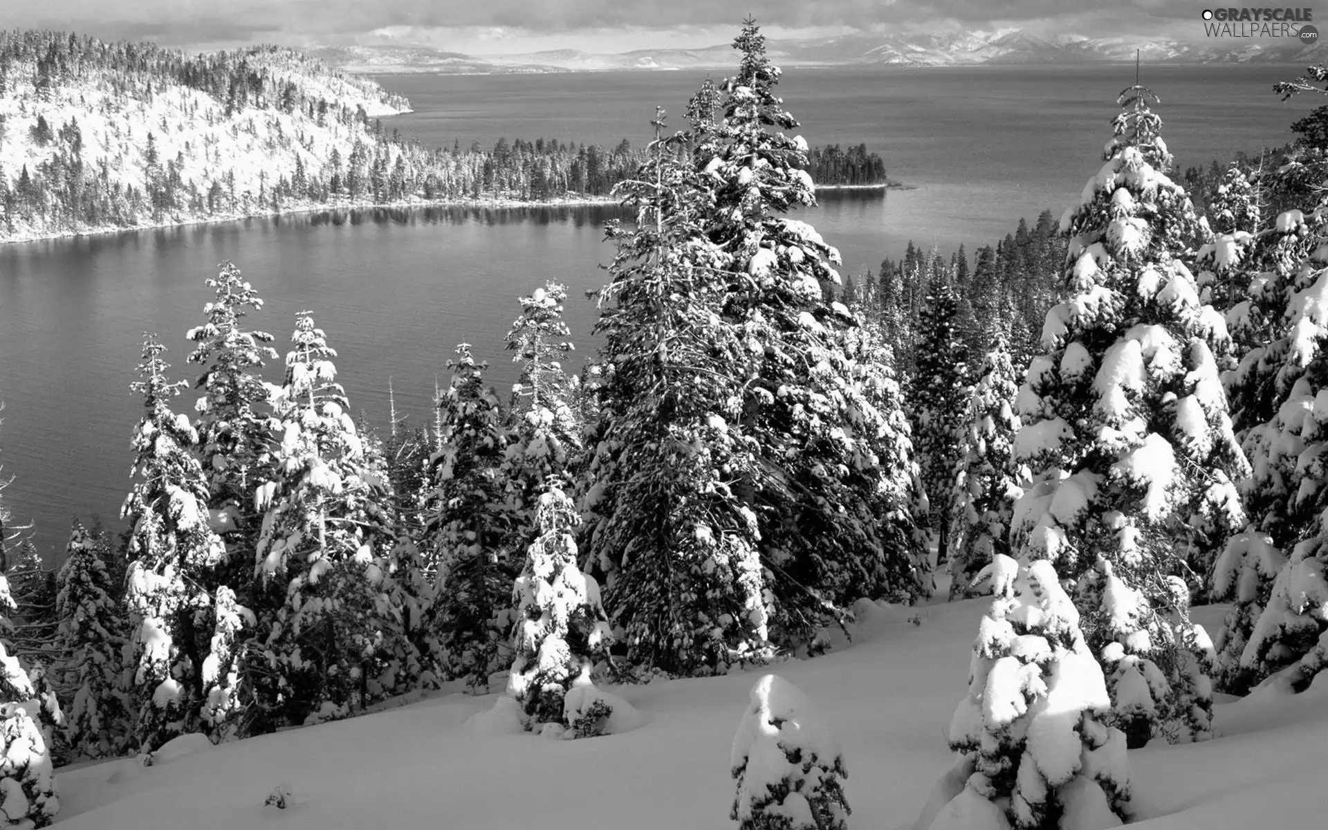 sea, woods, winter, Mountains