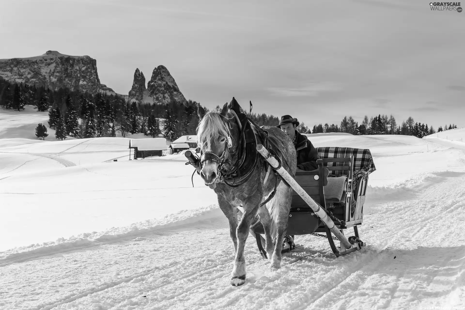 winter, Horse, sleigh
