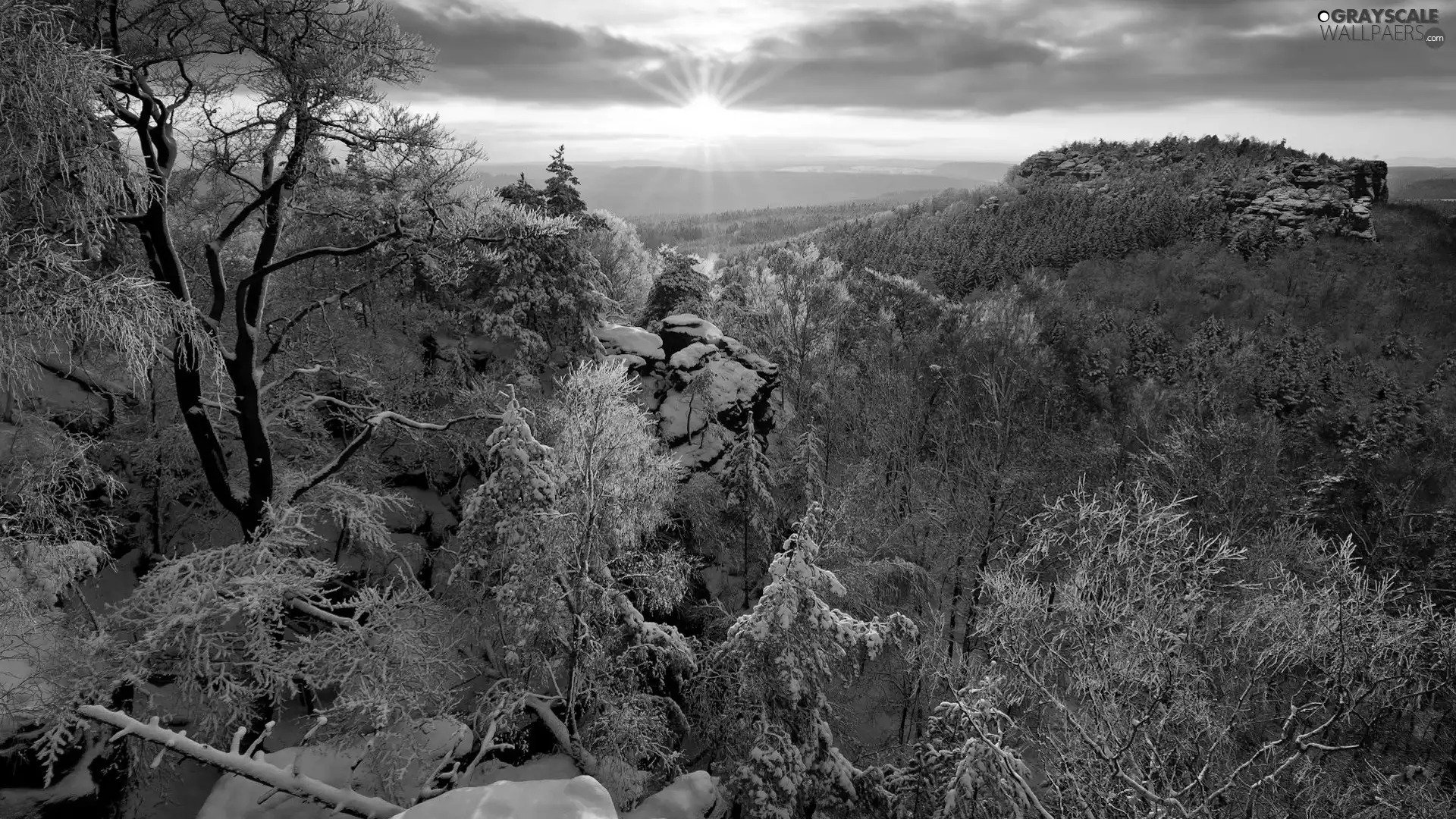 winter, trees, rays of the Sun, viewes, Mountains, snow, rocks