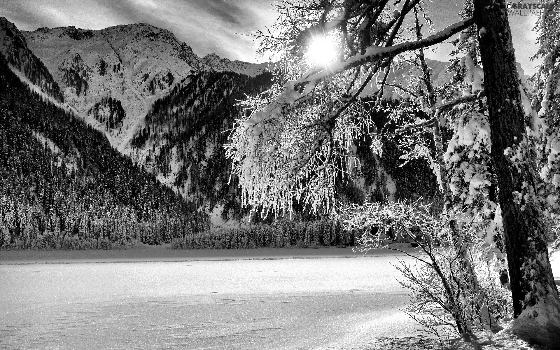 trees, light breaking through sky, snow, winter, Mountains