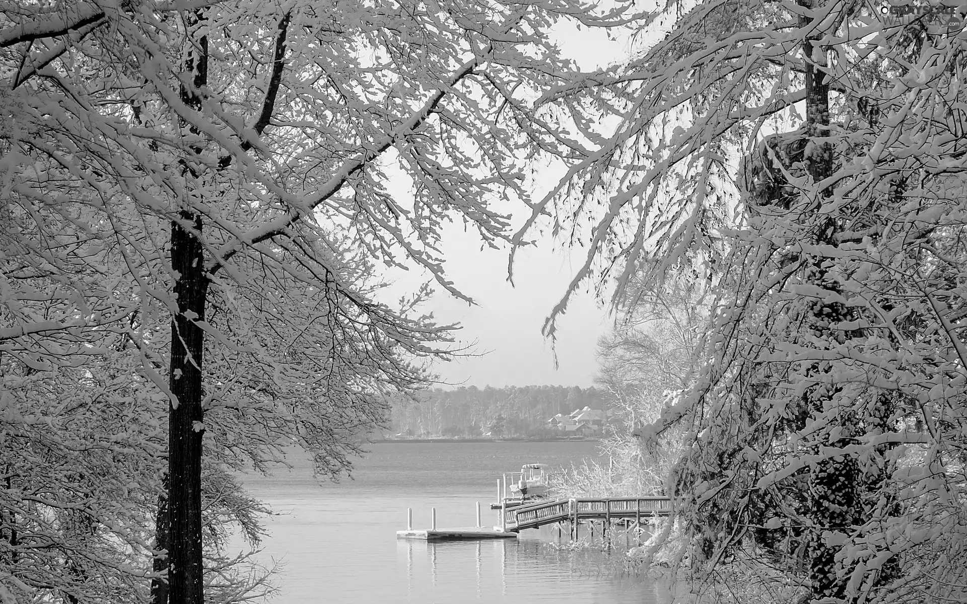 Lake Murray, USA, winter, South Carolina