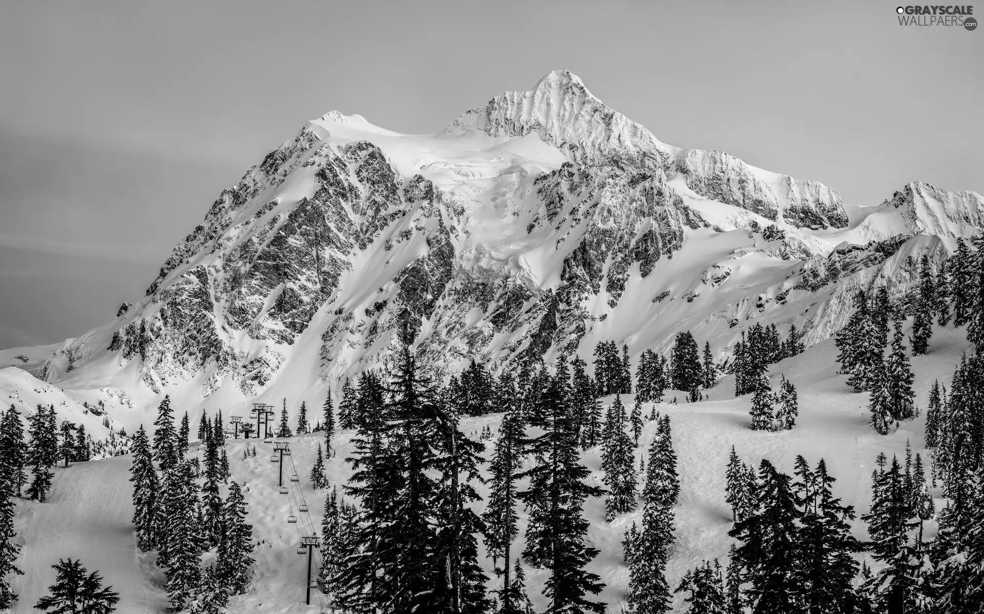 winter, Mountains, Spruces