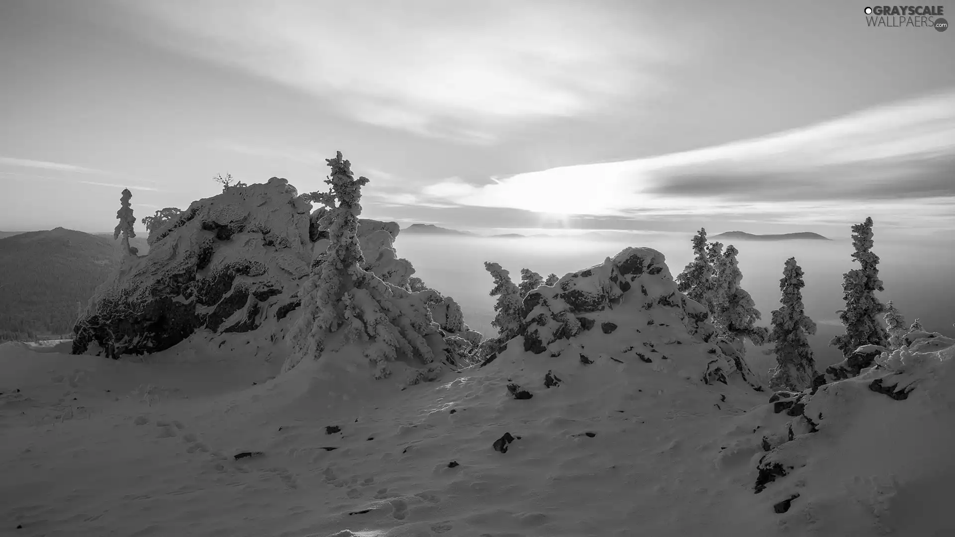 viewes, Mountains, Sunrise, trees, The Hills, Fog, winter