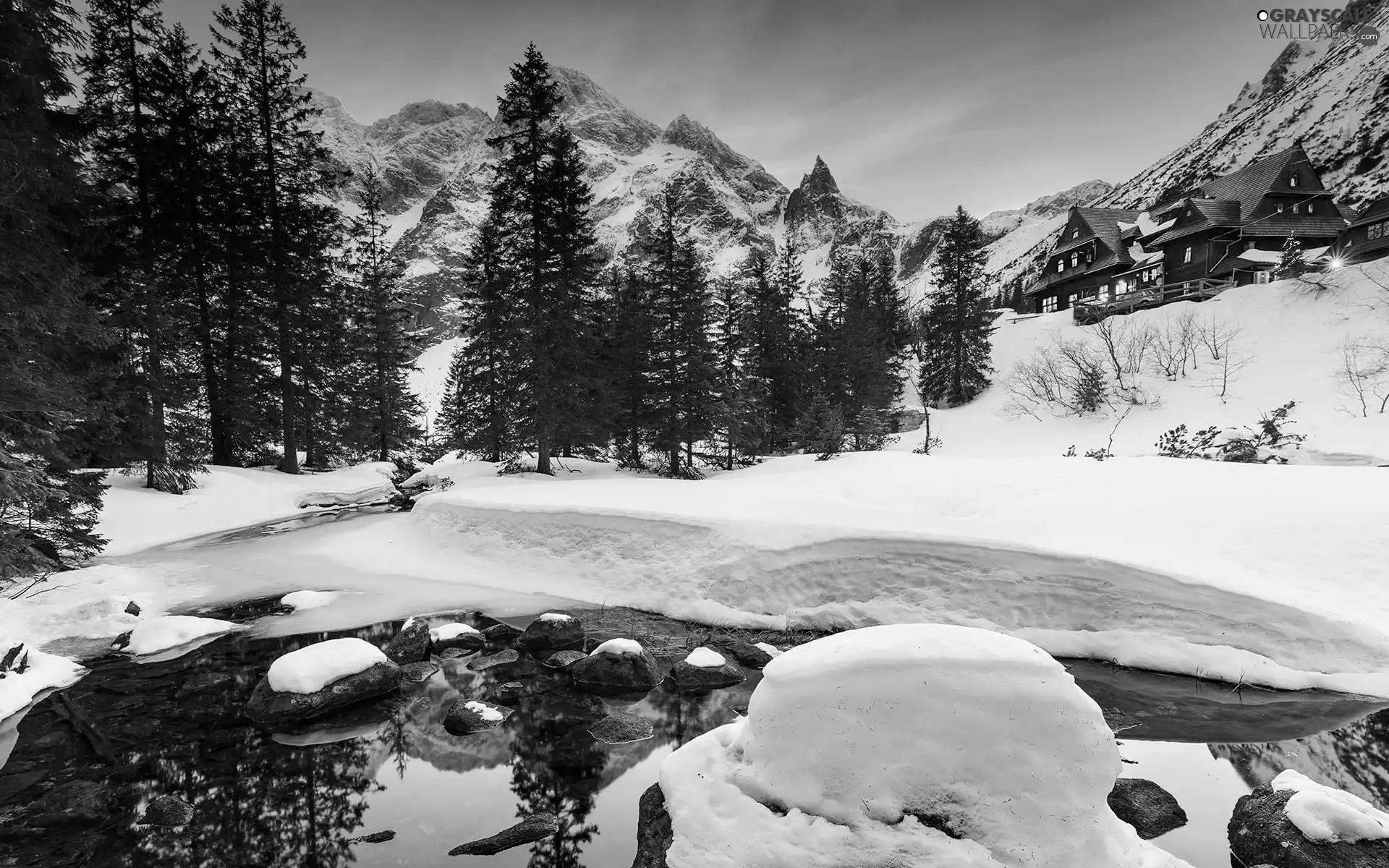 trees, Mountains, Houses, winter, viewes, Tatras