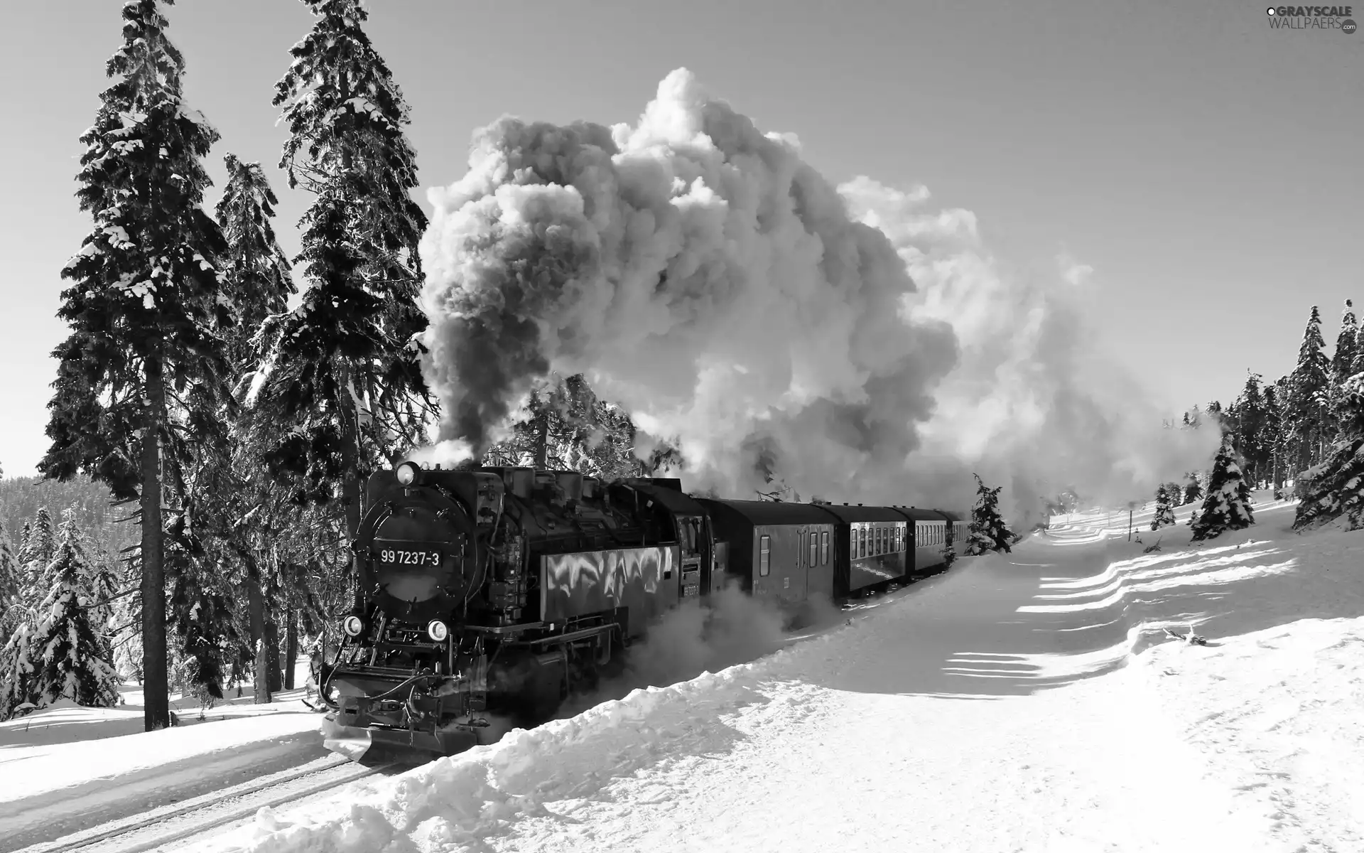 Train, viewes, winter, trees