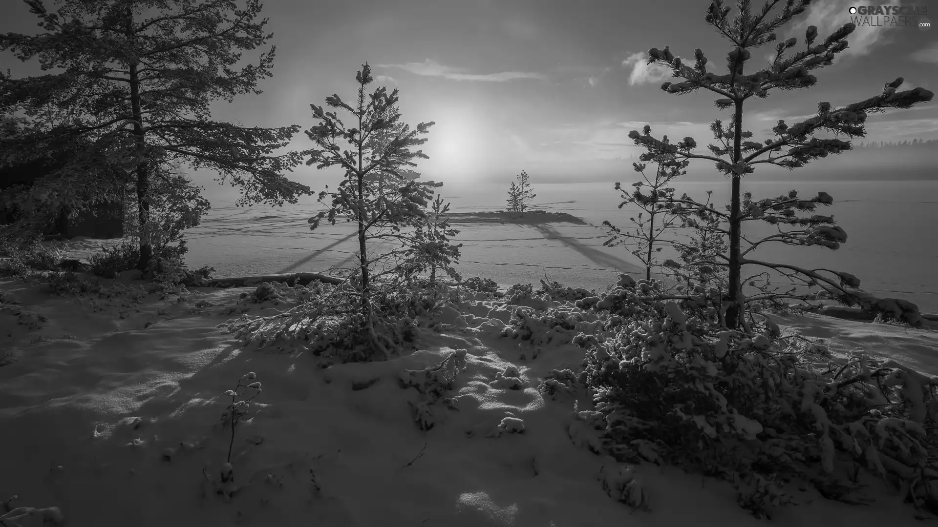 winter, Great Sunsets, snow, snowy, Ringerike, Norway, trees, viewes, lake