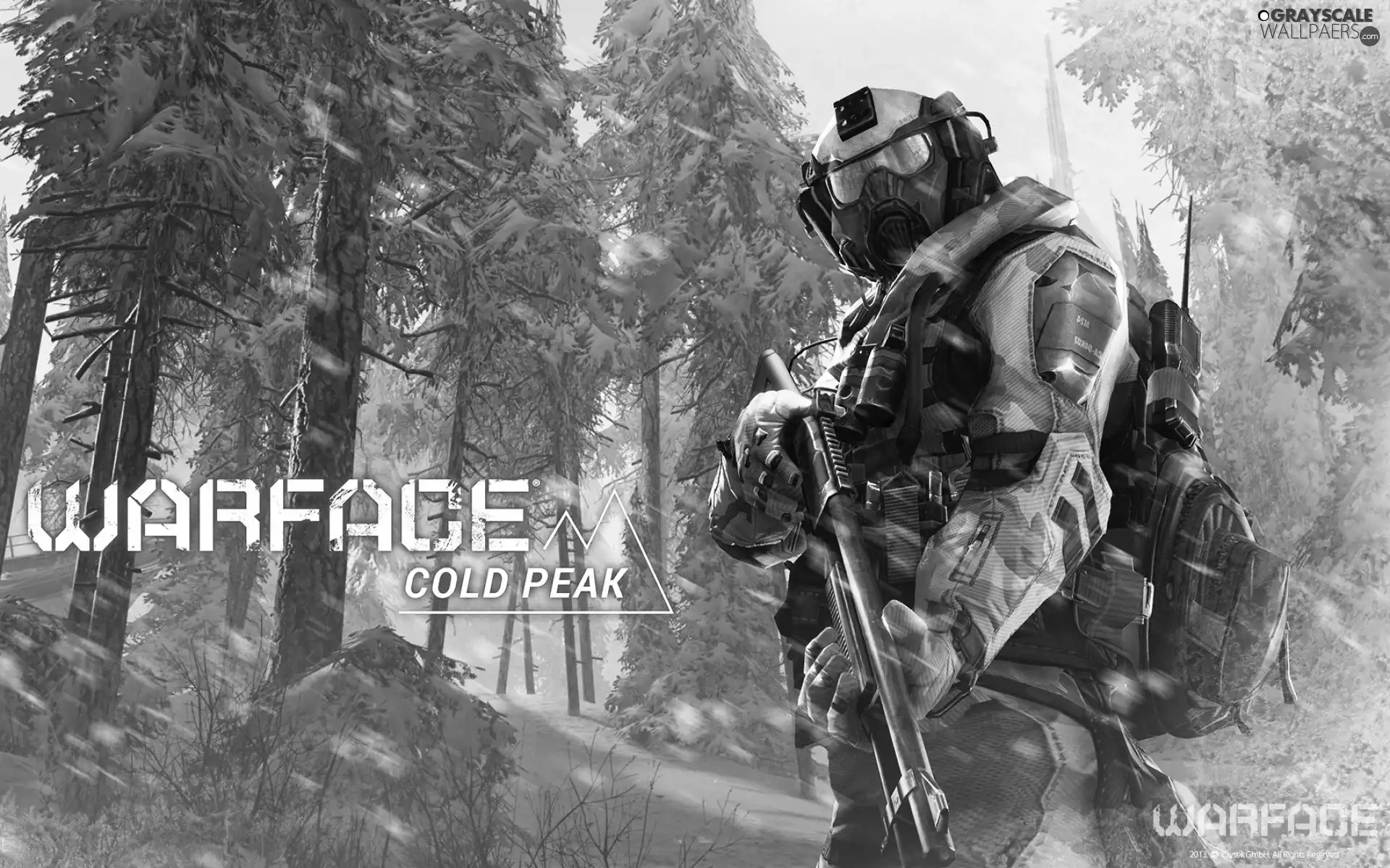 forest, winter, Warface, soldier, game