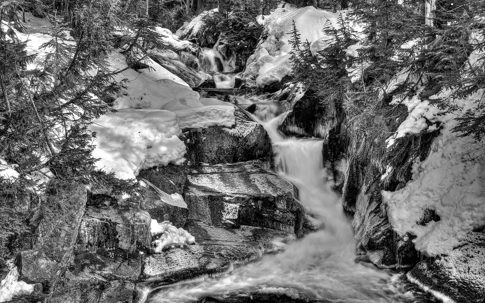 waterfall, forest, winter, rocks