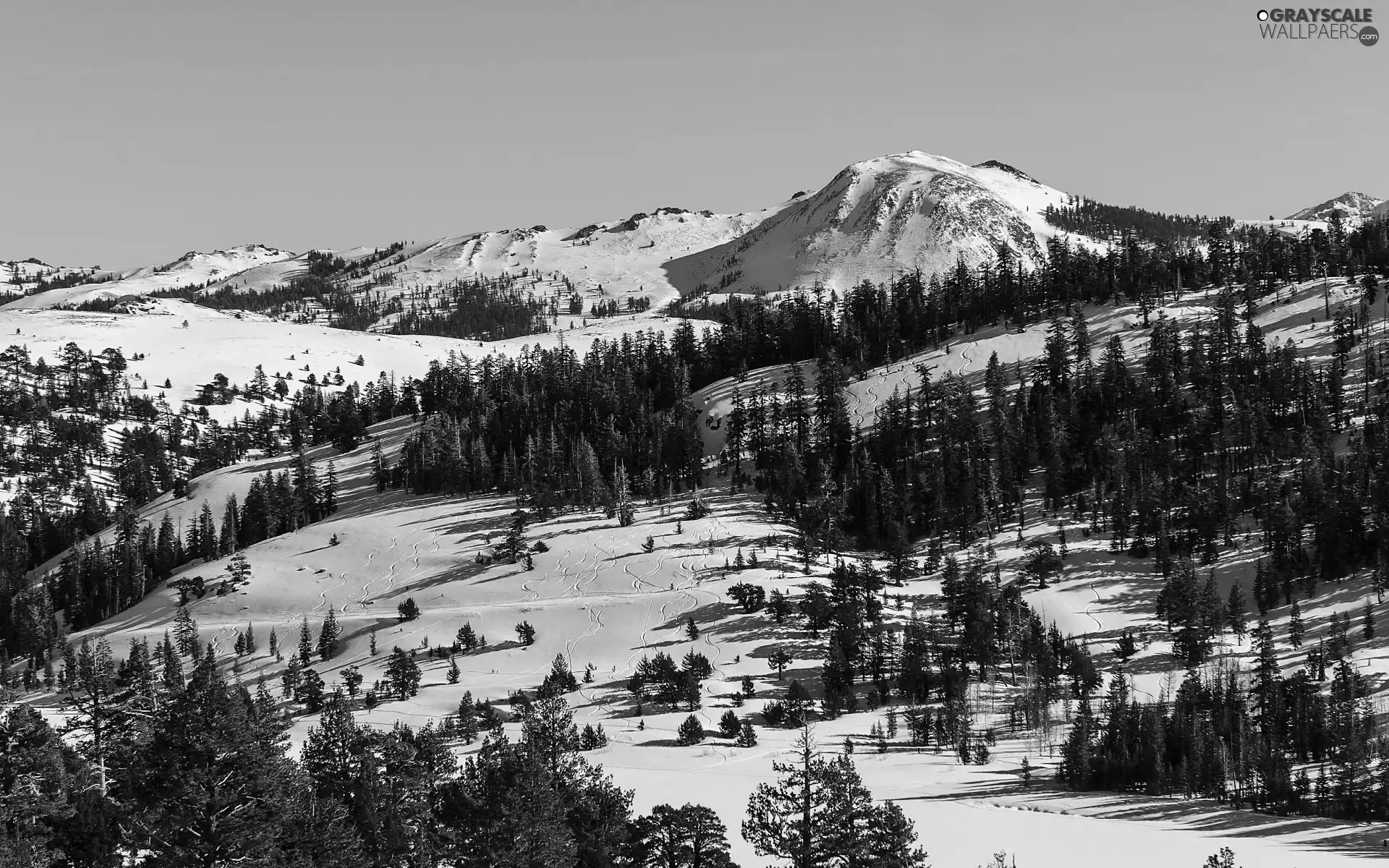 winter, Mountains, woods