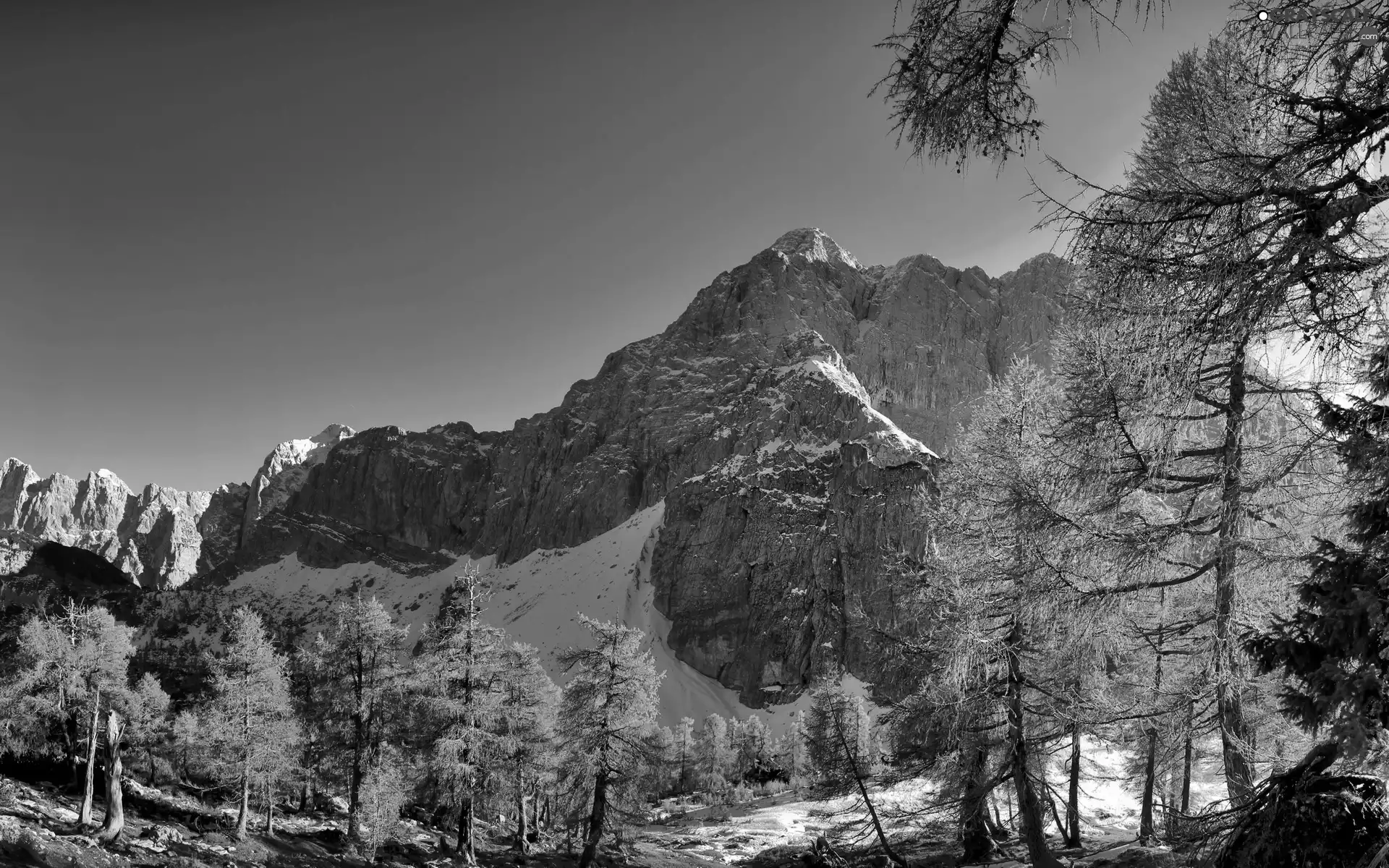 winter, Mountains, woods