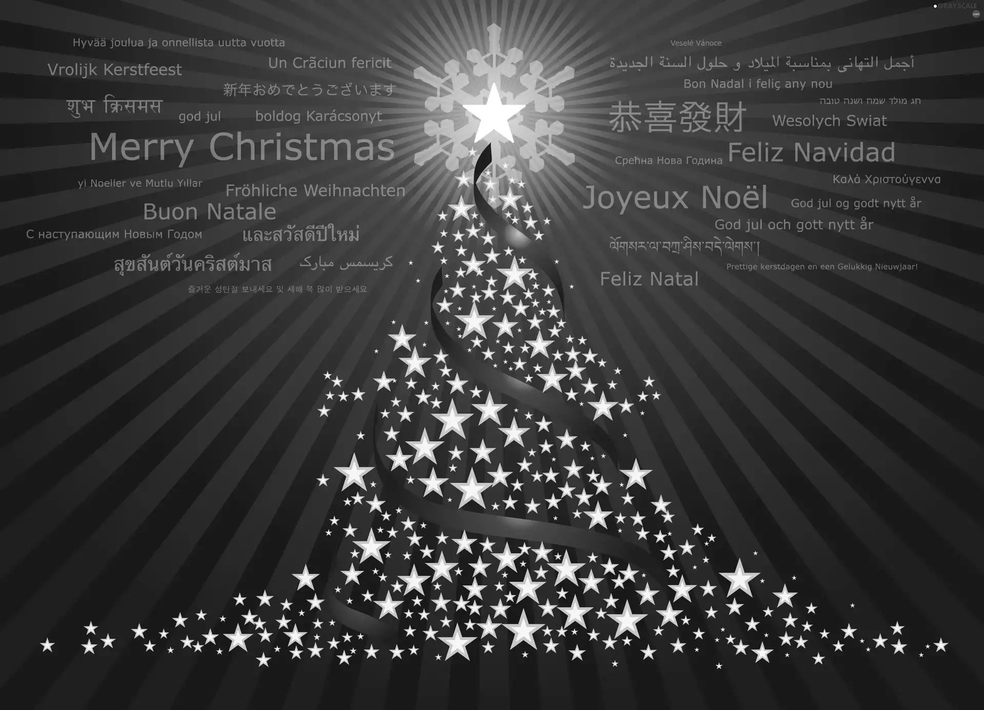 Christmas, christmas tree, Wishes