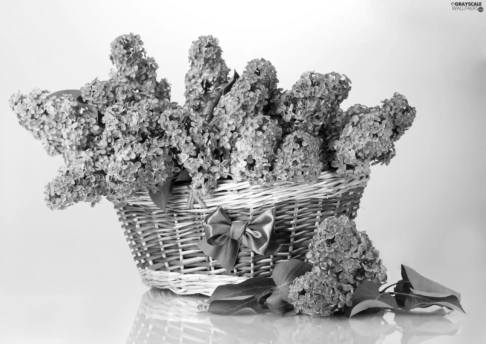 without, basket, Violet