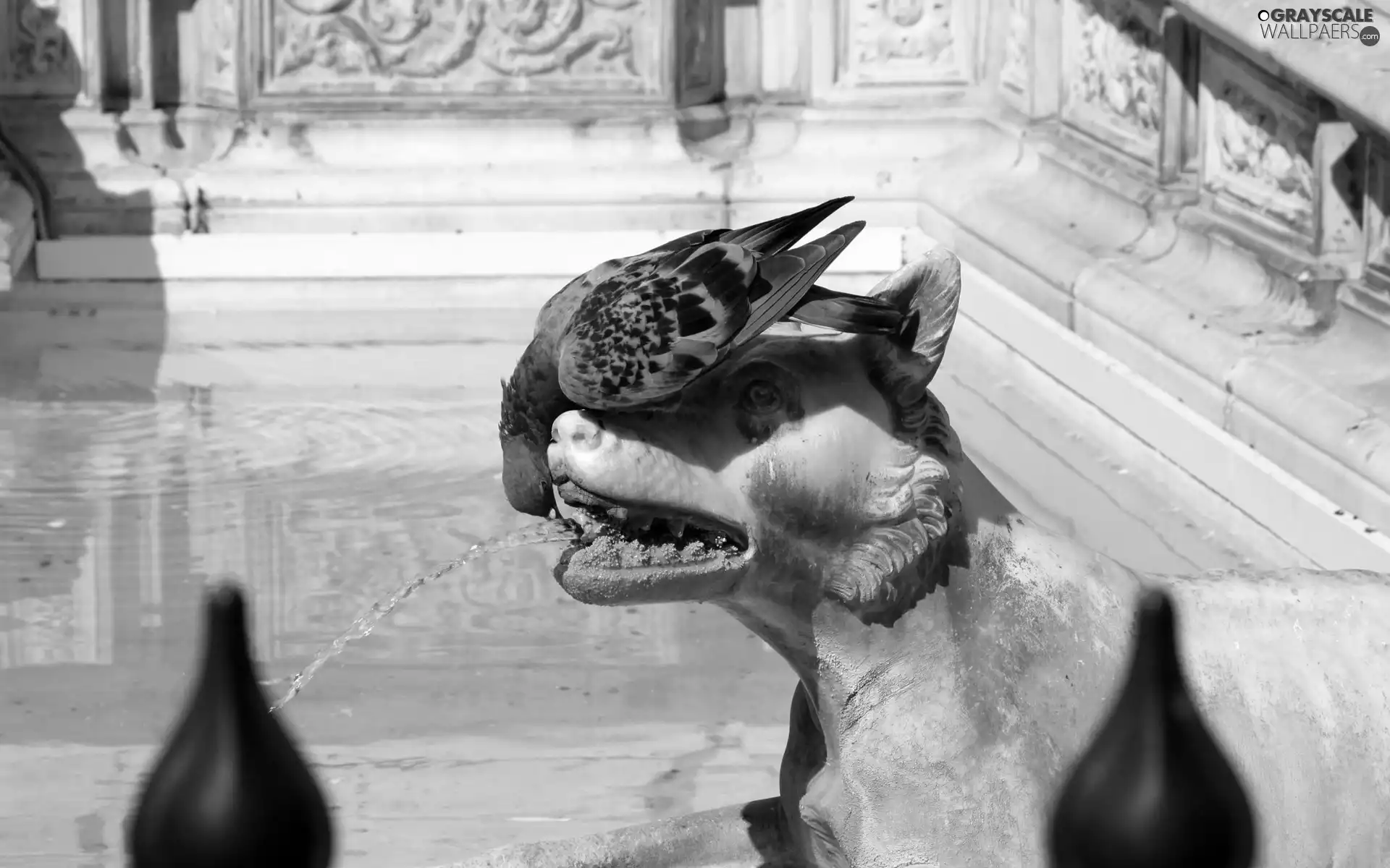 pigeon, sculpture, Wolf, fountain