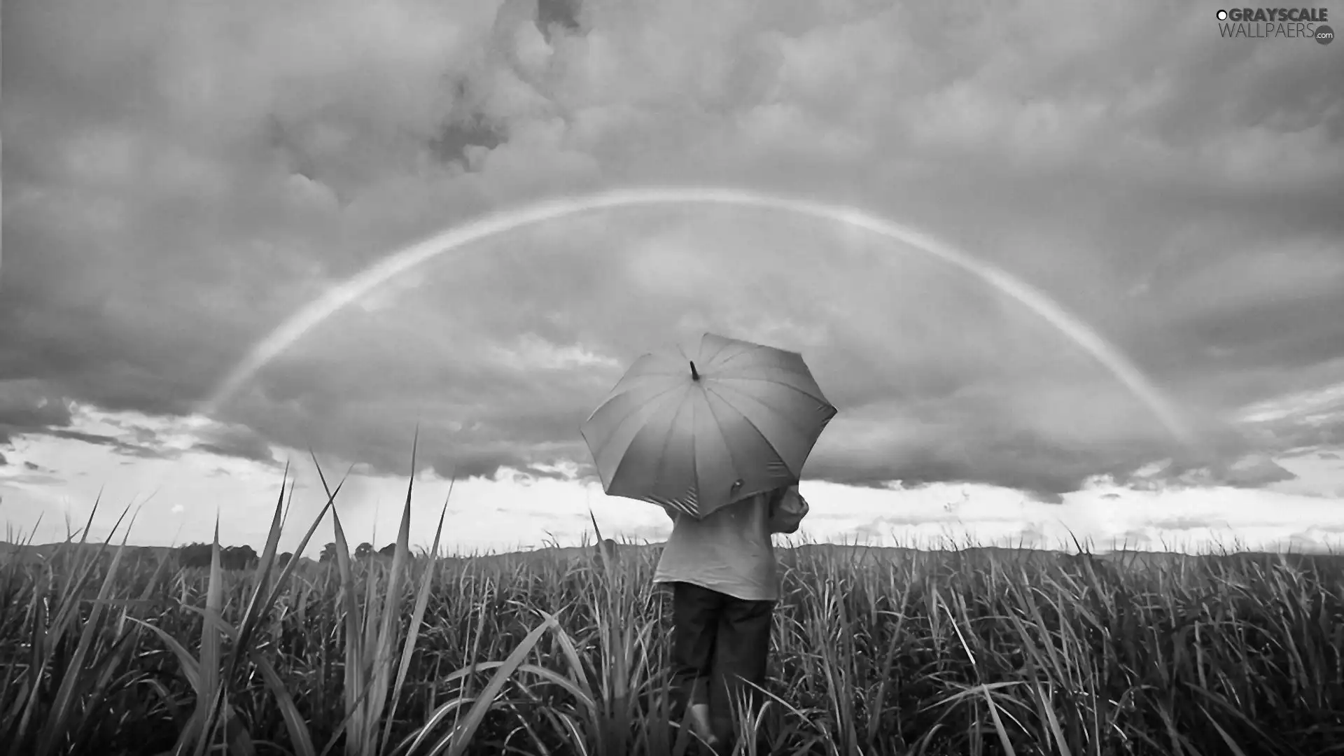 Meadow, clouds, Women, Great Rainbows