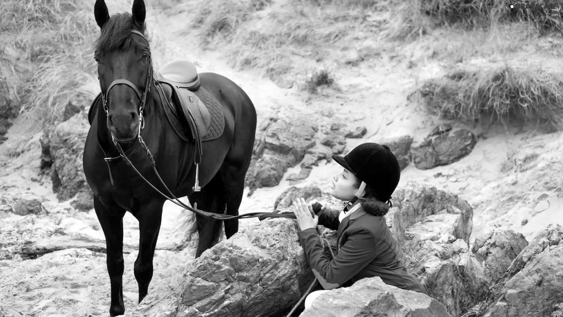 Horse, jockey, Stones, Women