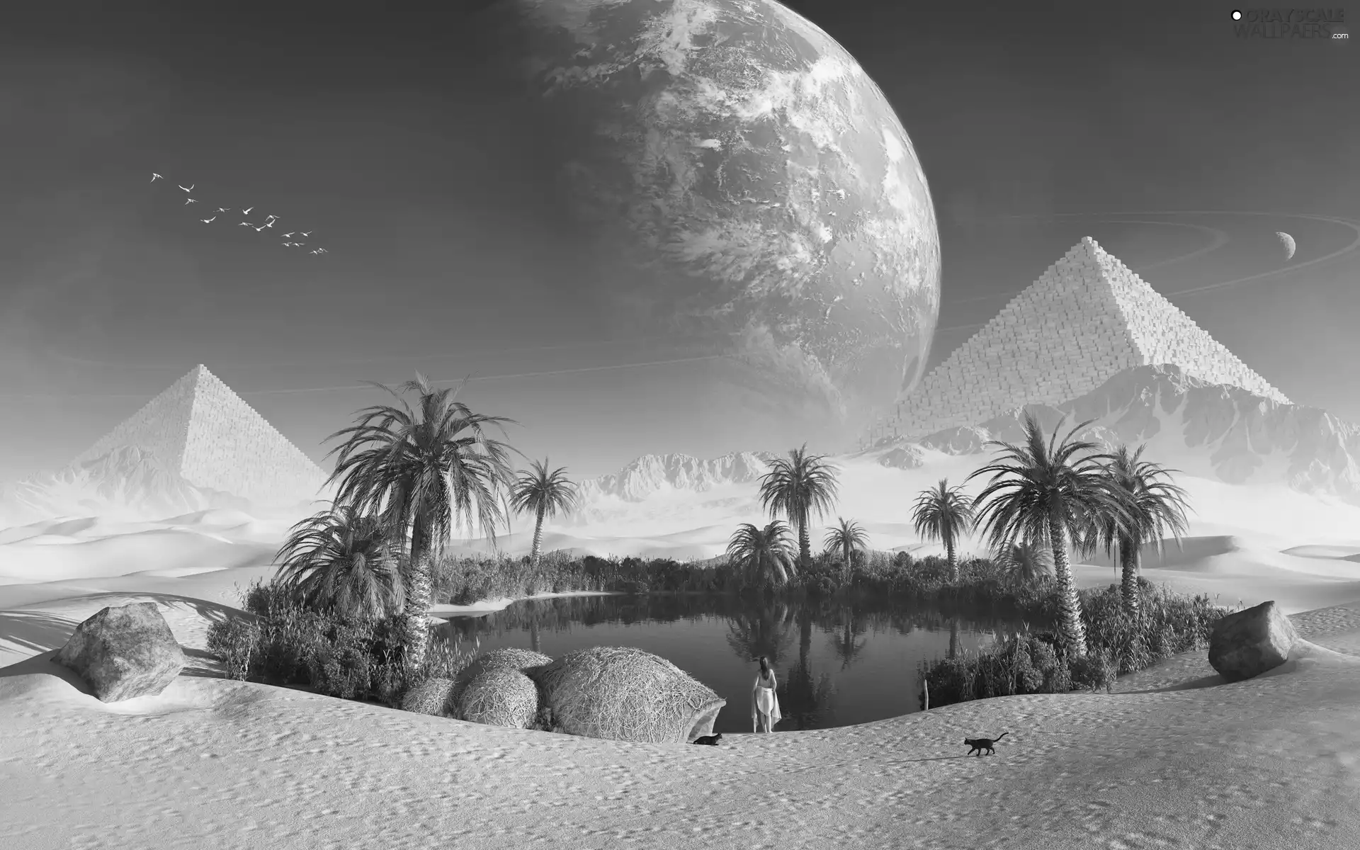 water, Desert, Women, Planet, Palms, Pyramids
