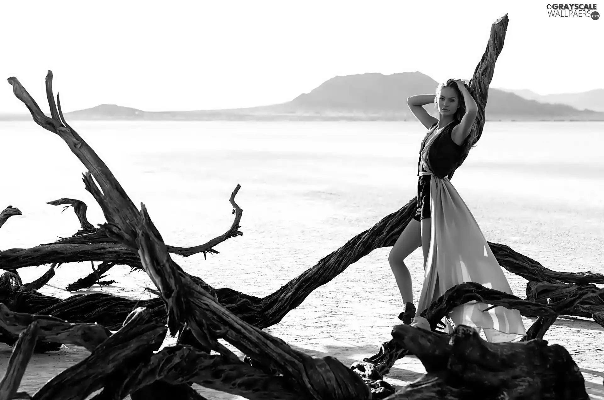 Branches of Trees, sea, Women