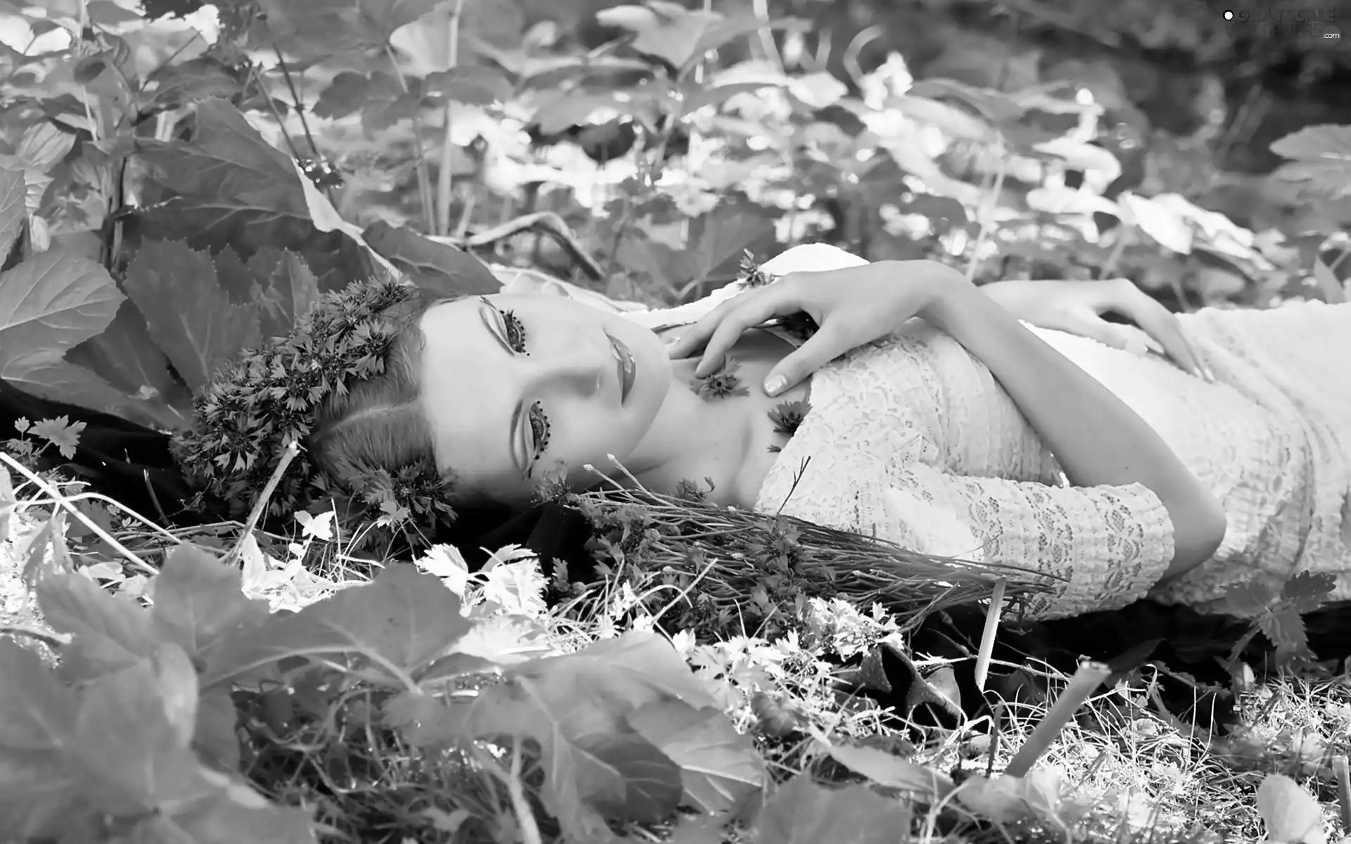 Women, make-up, cornflowers, Beauty, Meadow
