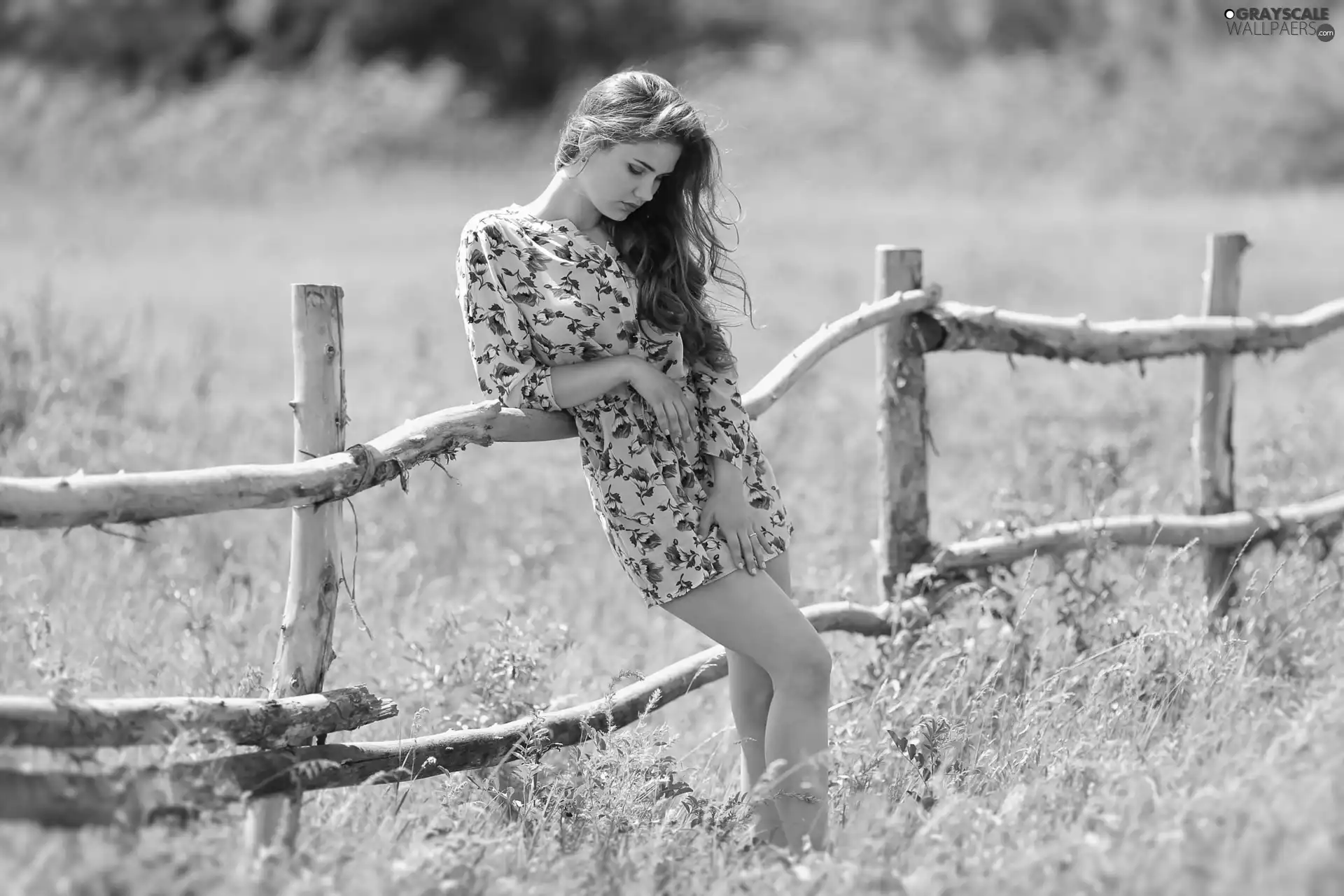 upset, grass, fence, Women