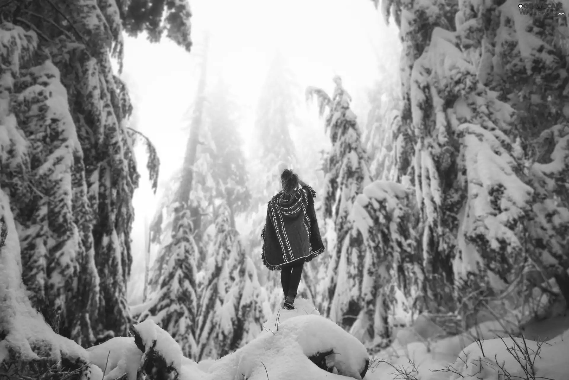 Women, Spruces, winter