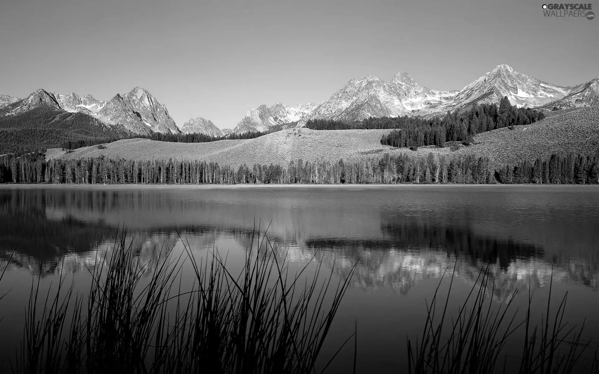 Wooded, edges, Mountains, reflection, lake