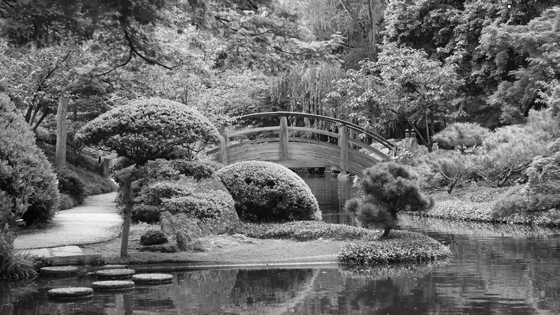 wooden, bridges, VEGETATION, Bush, viewes, Pond - car, Park, trees